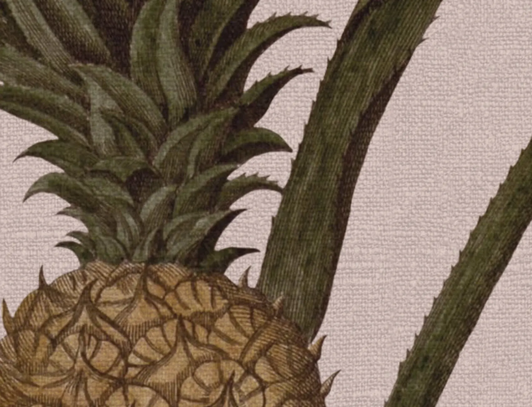 Tropical Paradise