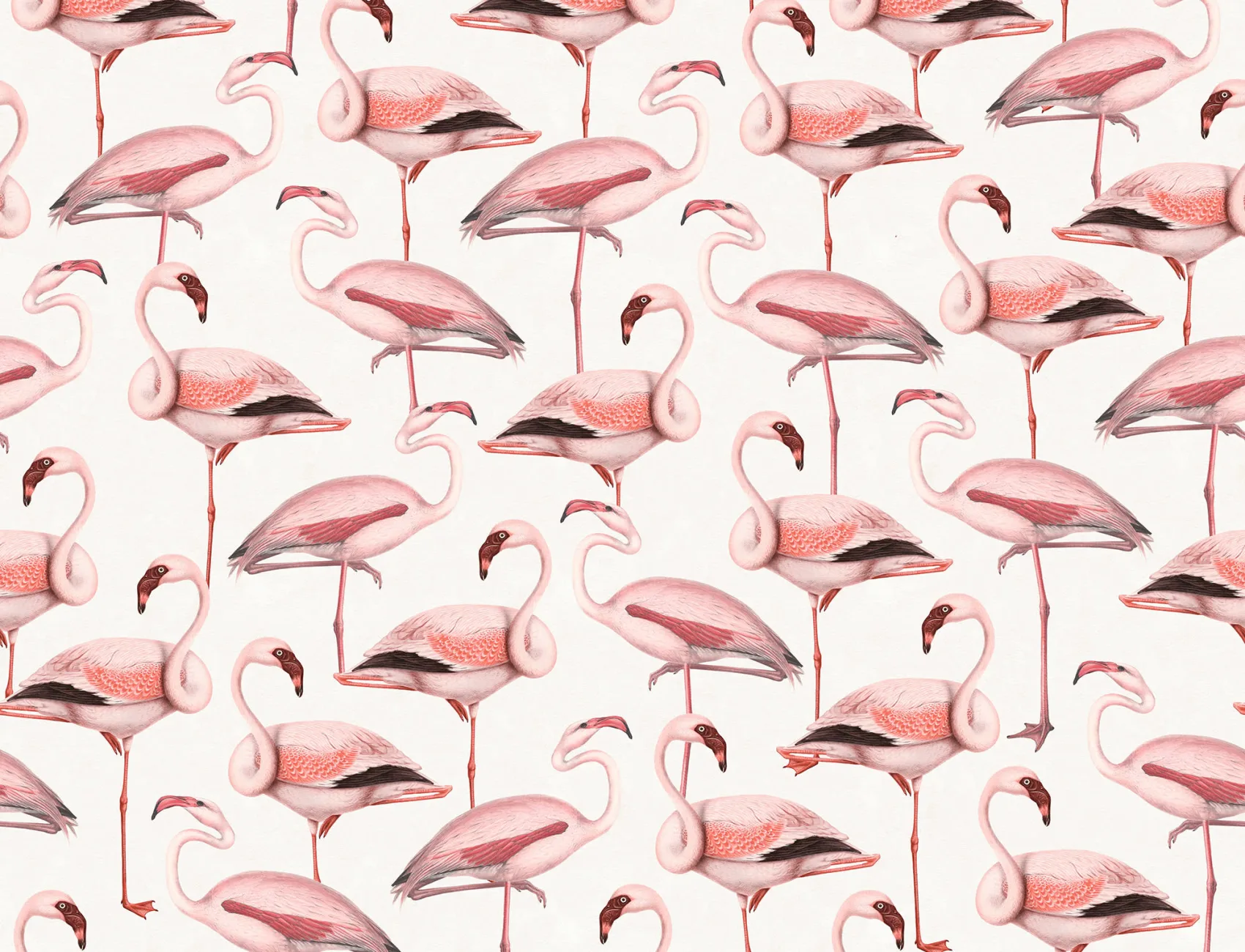 A Flamingo Fiesta in Pastel Tones