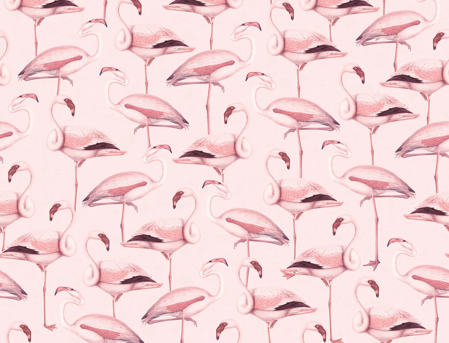 Bring the Whimsy and Grace