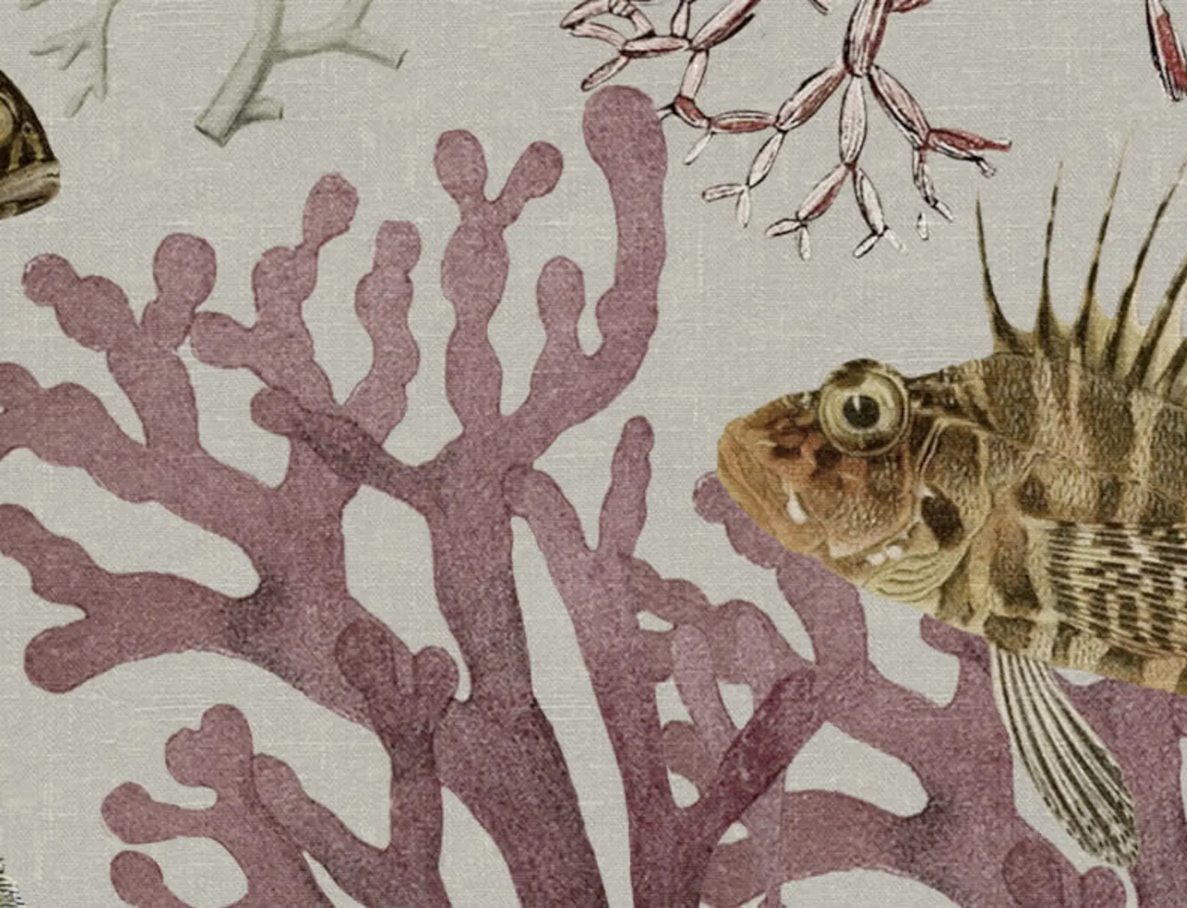 The Underwater Wonder for Your Walls