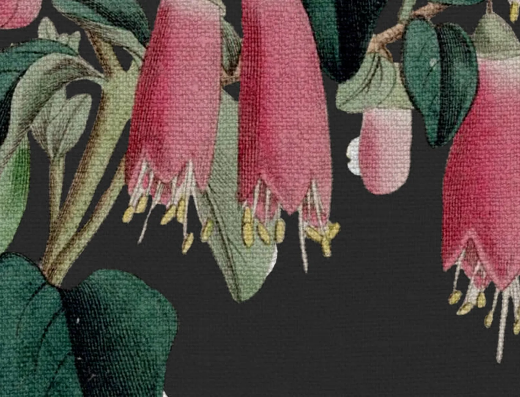De kunst van de natuur op uw muren