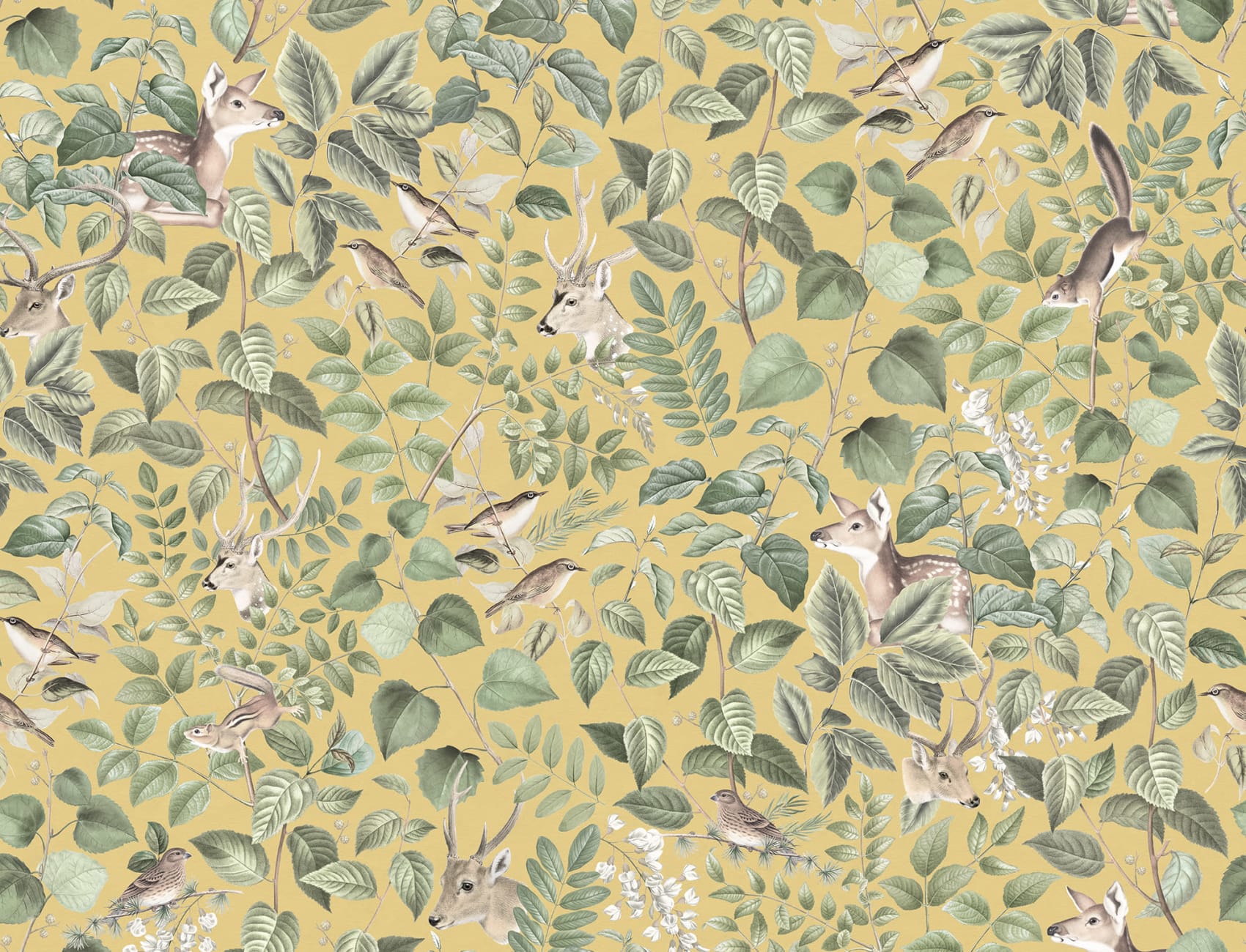 A Whimsical Blend of Nature and Color