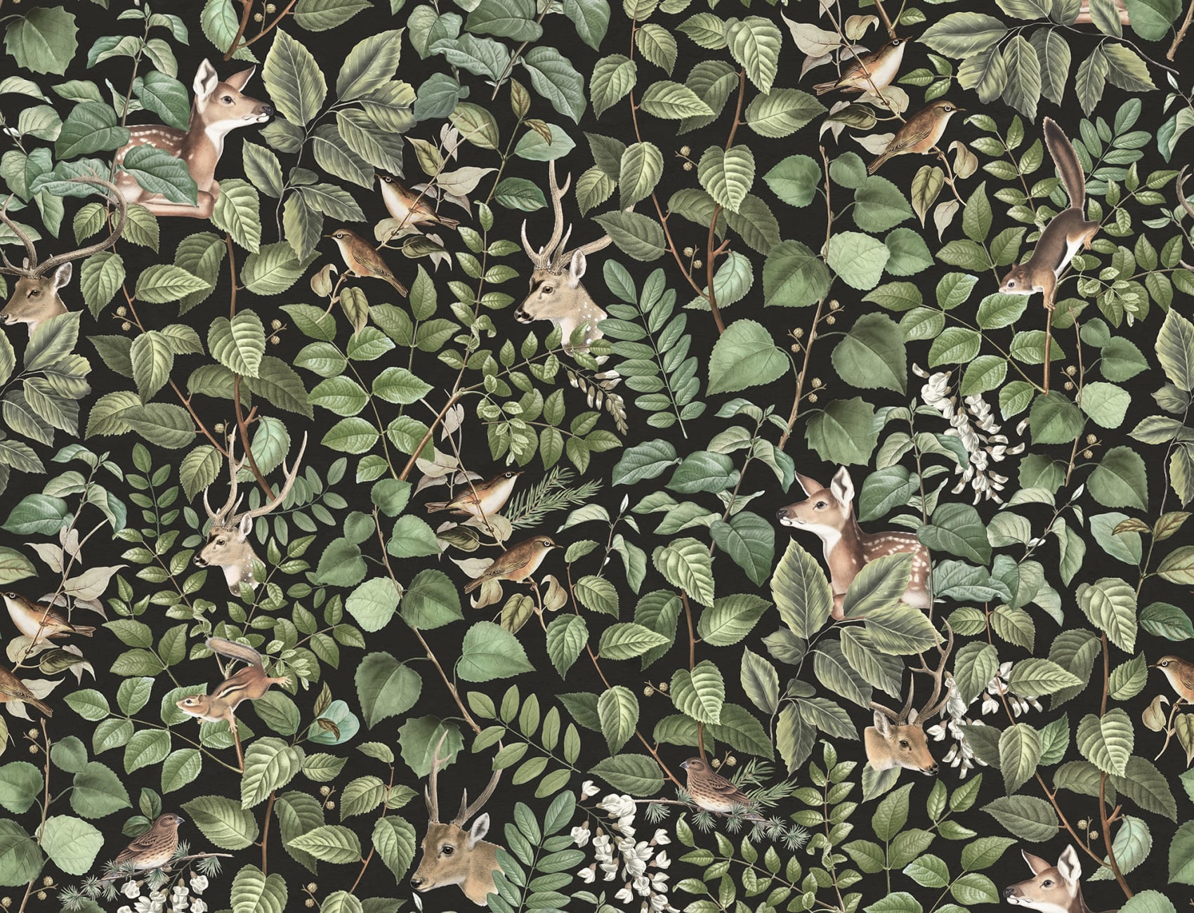 Where the Wild Things Are