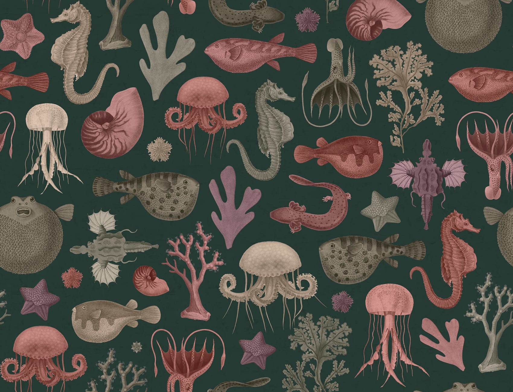 Dormir avec les poissons