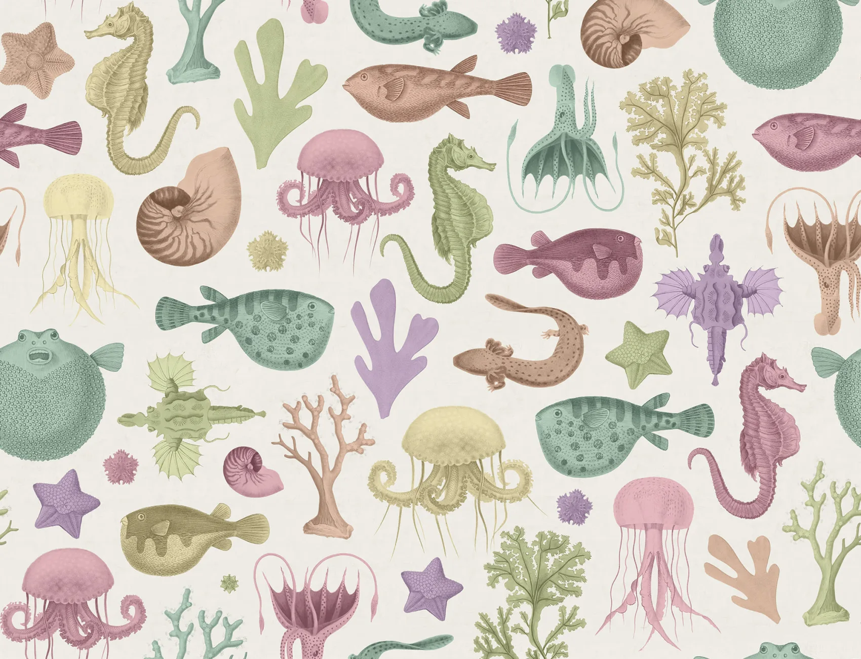 Colors of the Deep Sea