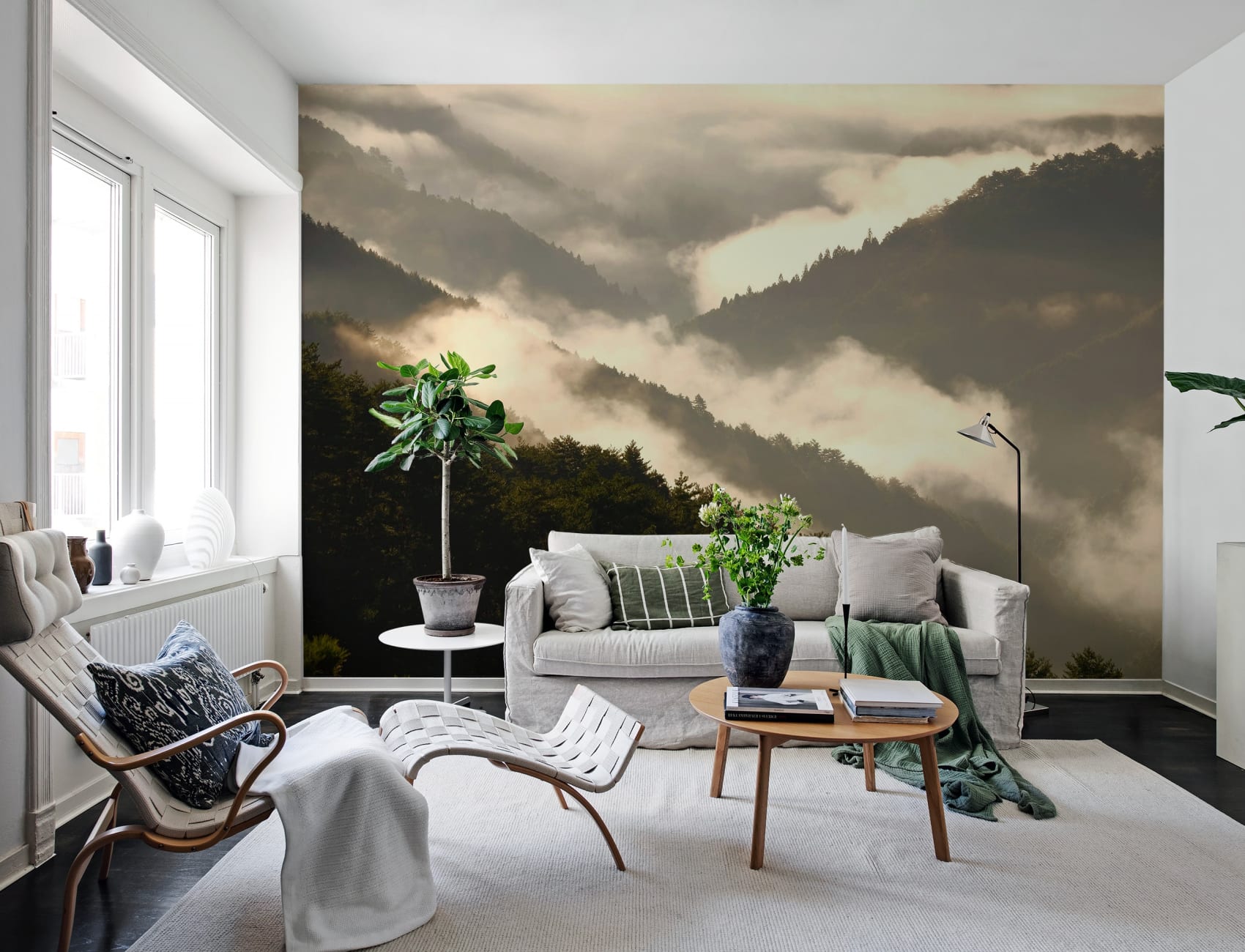 Vue des montagnes