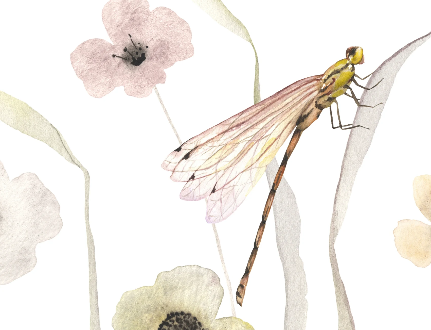 Bloemen & Vlinders