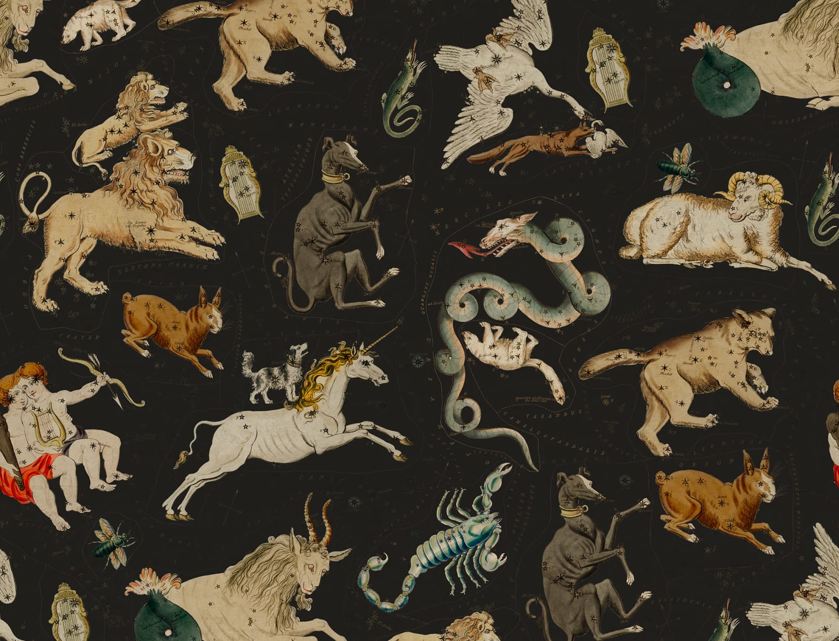 Zodiac Signs Comes to Life