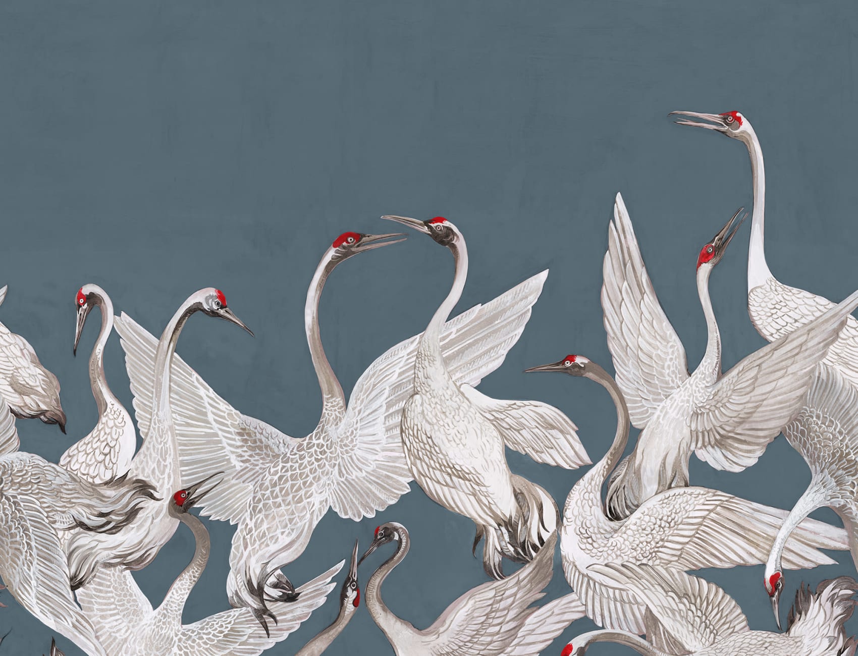 Cranes On a Blue Backdrop