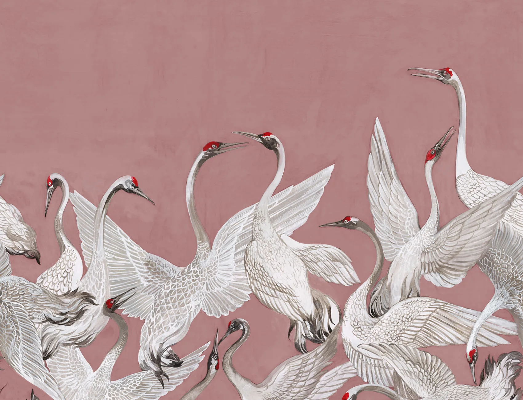 Cranes On a Pink Backdrop