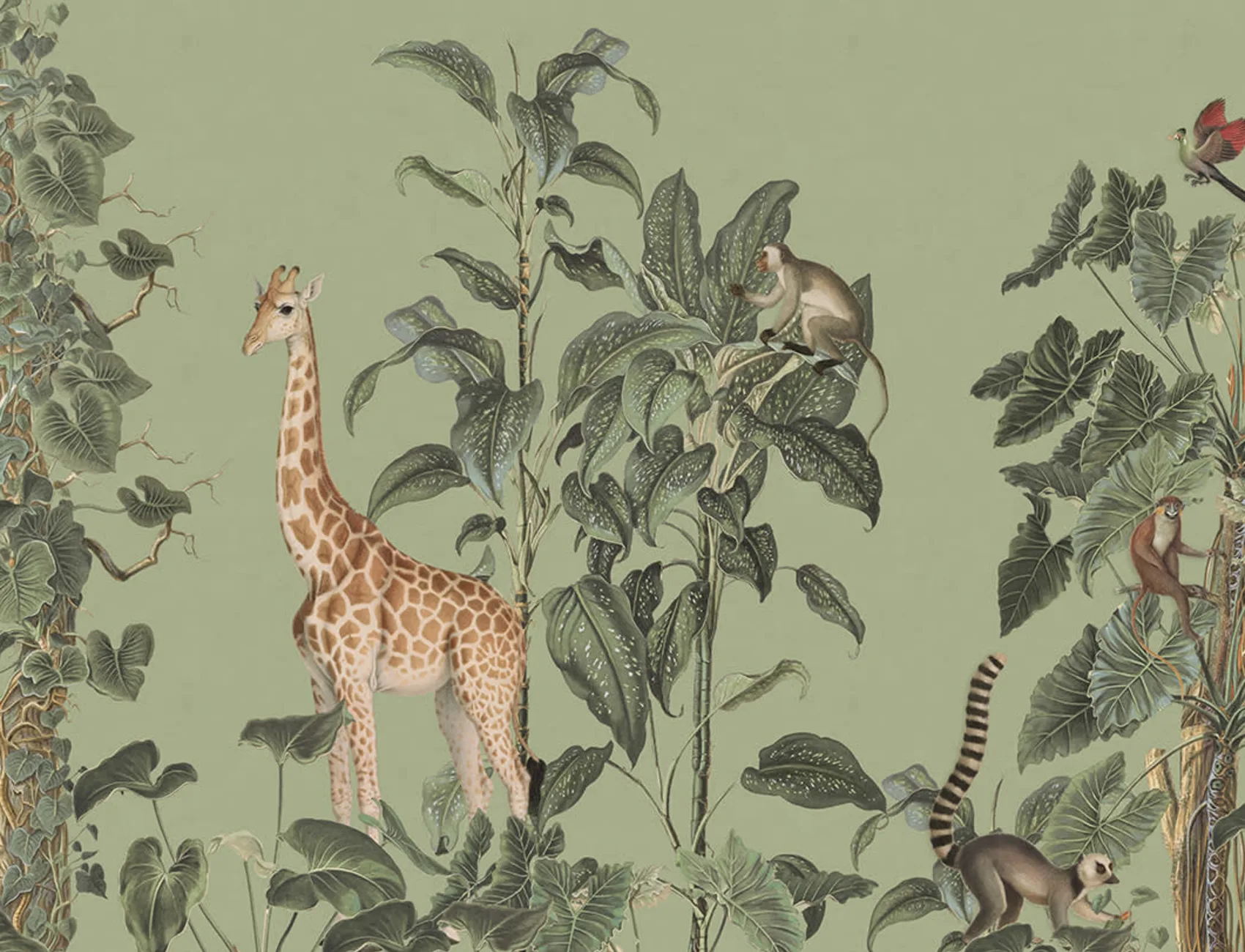 Wildlife Wanderings