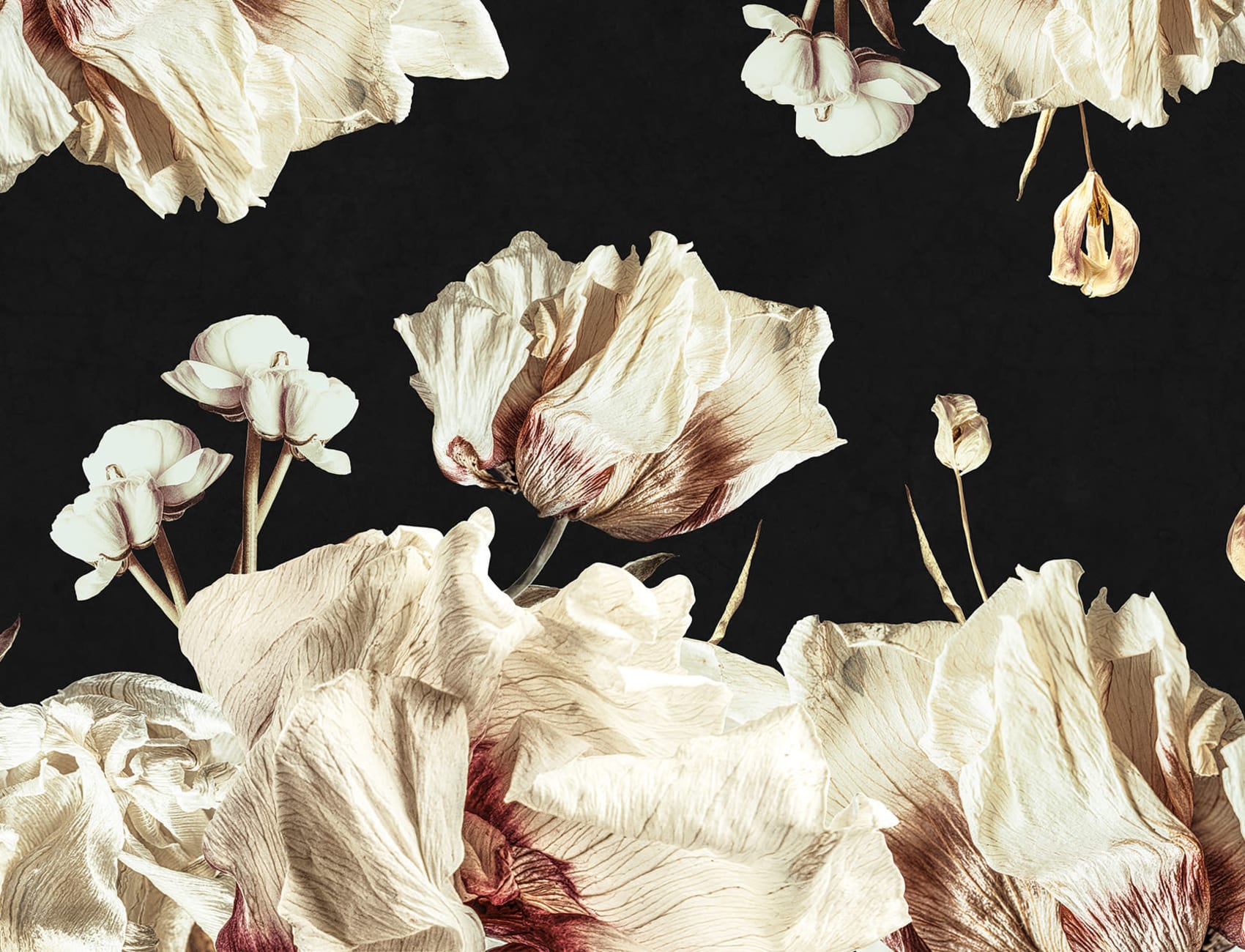 Fleurs séchées