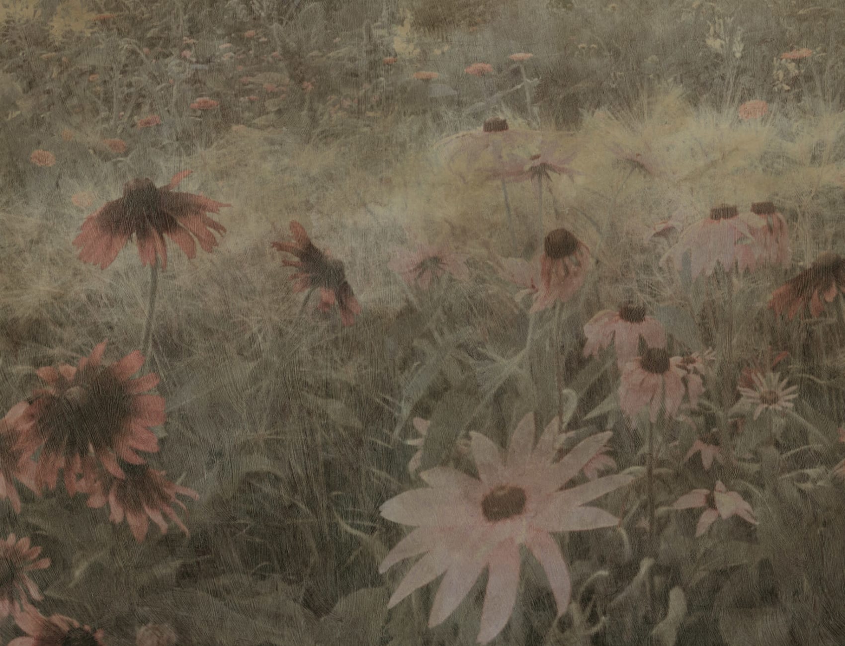 Textured Dreams