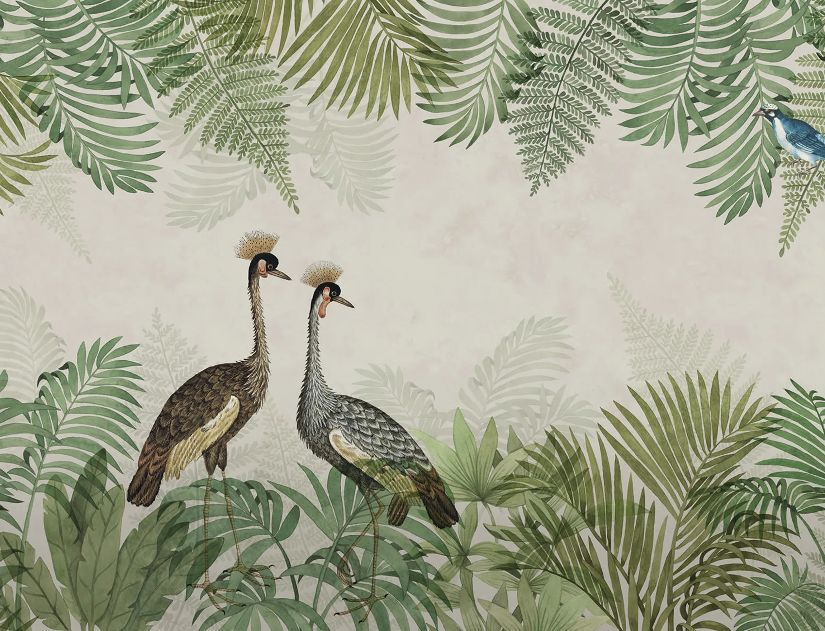 Tropical Wildlife Wonders