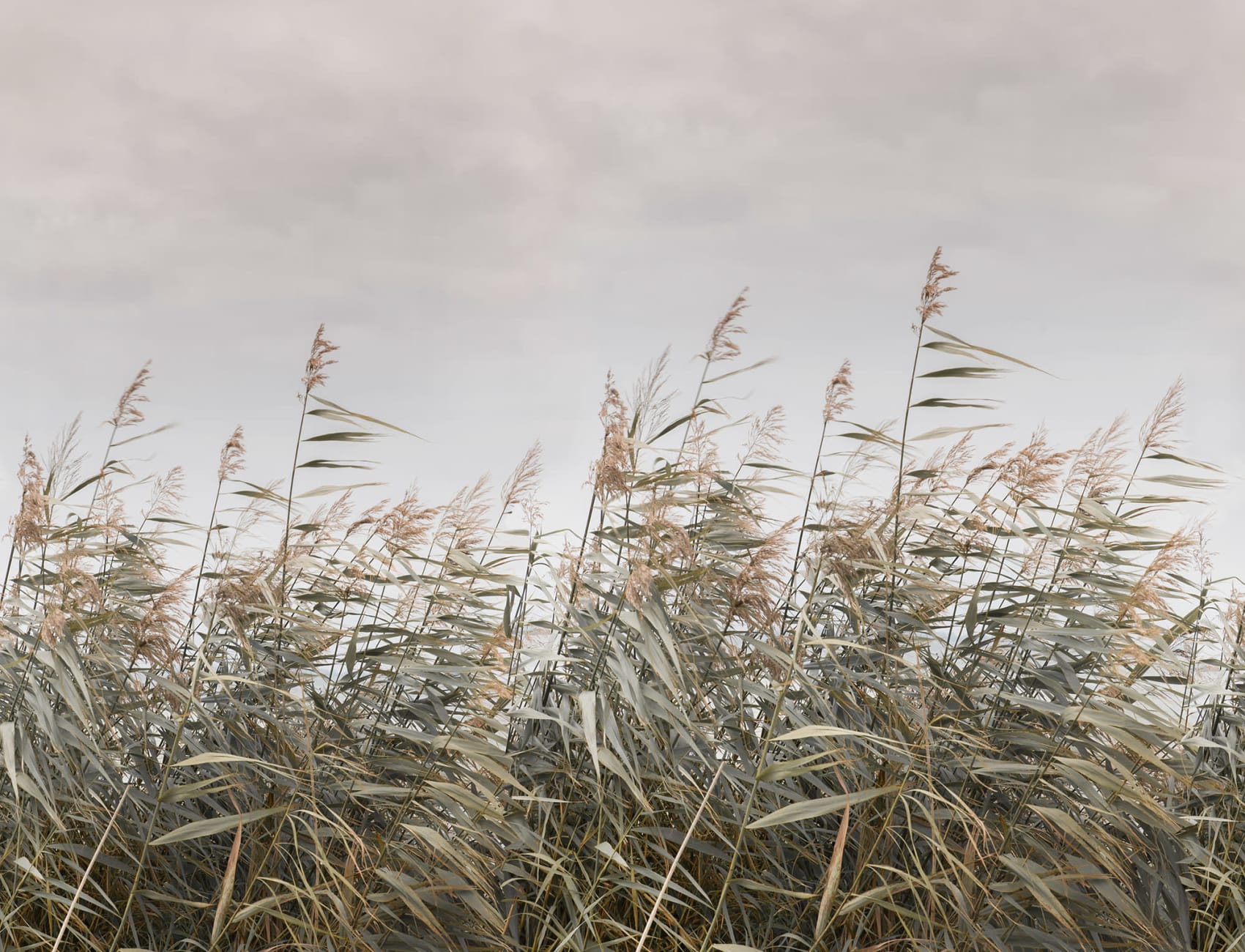 A Canvas of Restfulness 