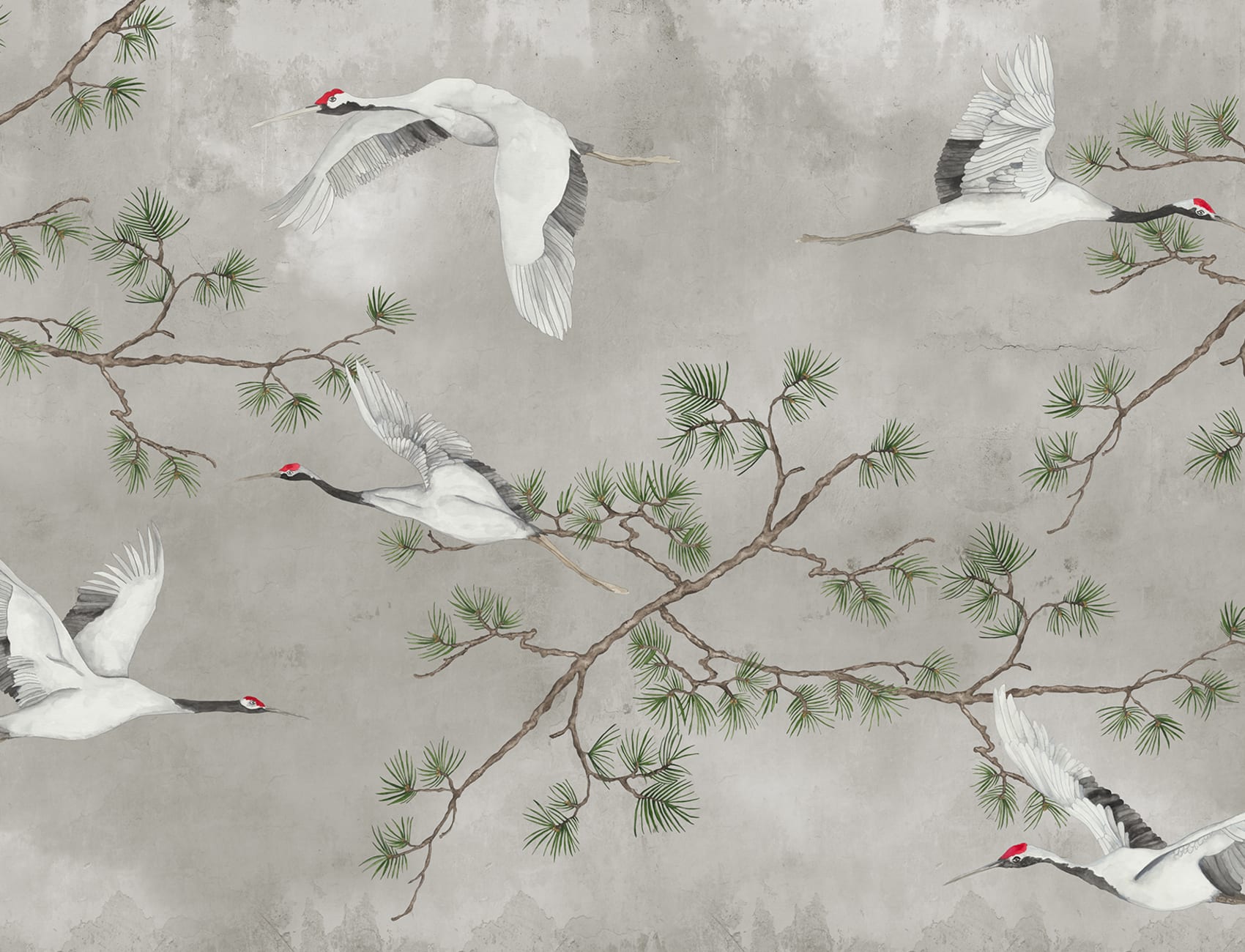 Serene Motion