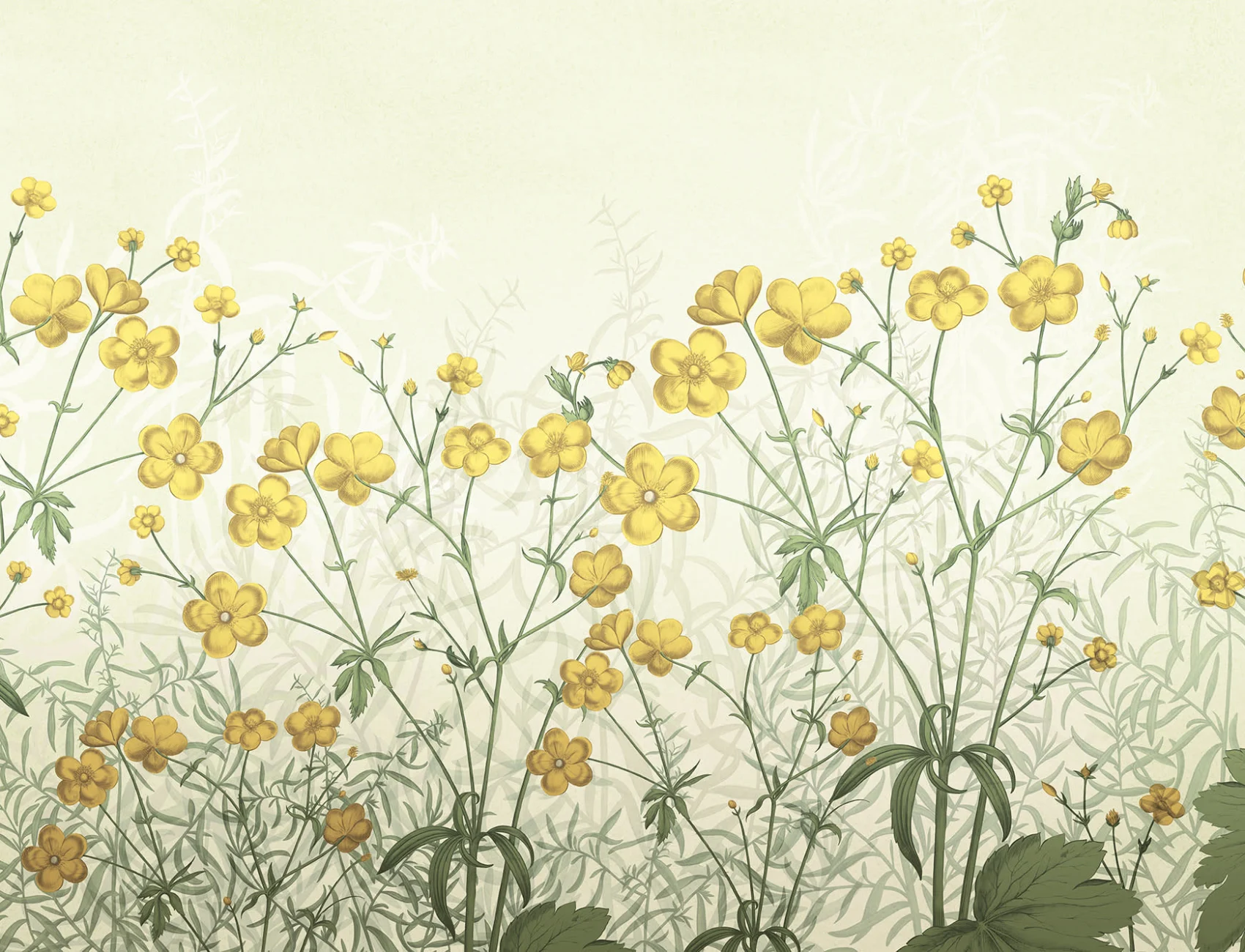 A Field of Flowers