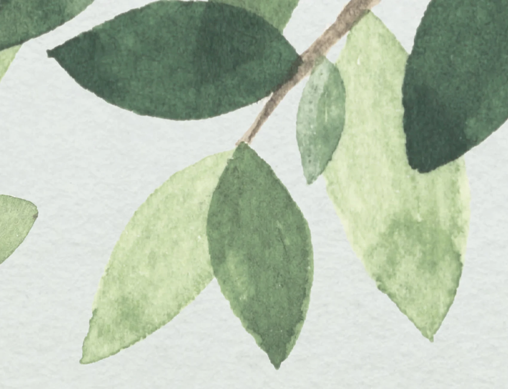 Serene Mountain Tree