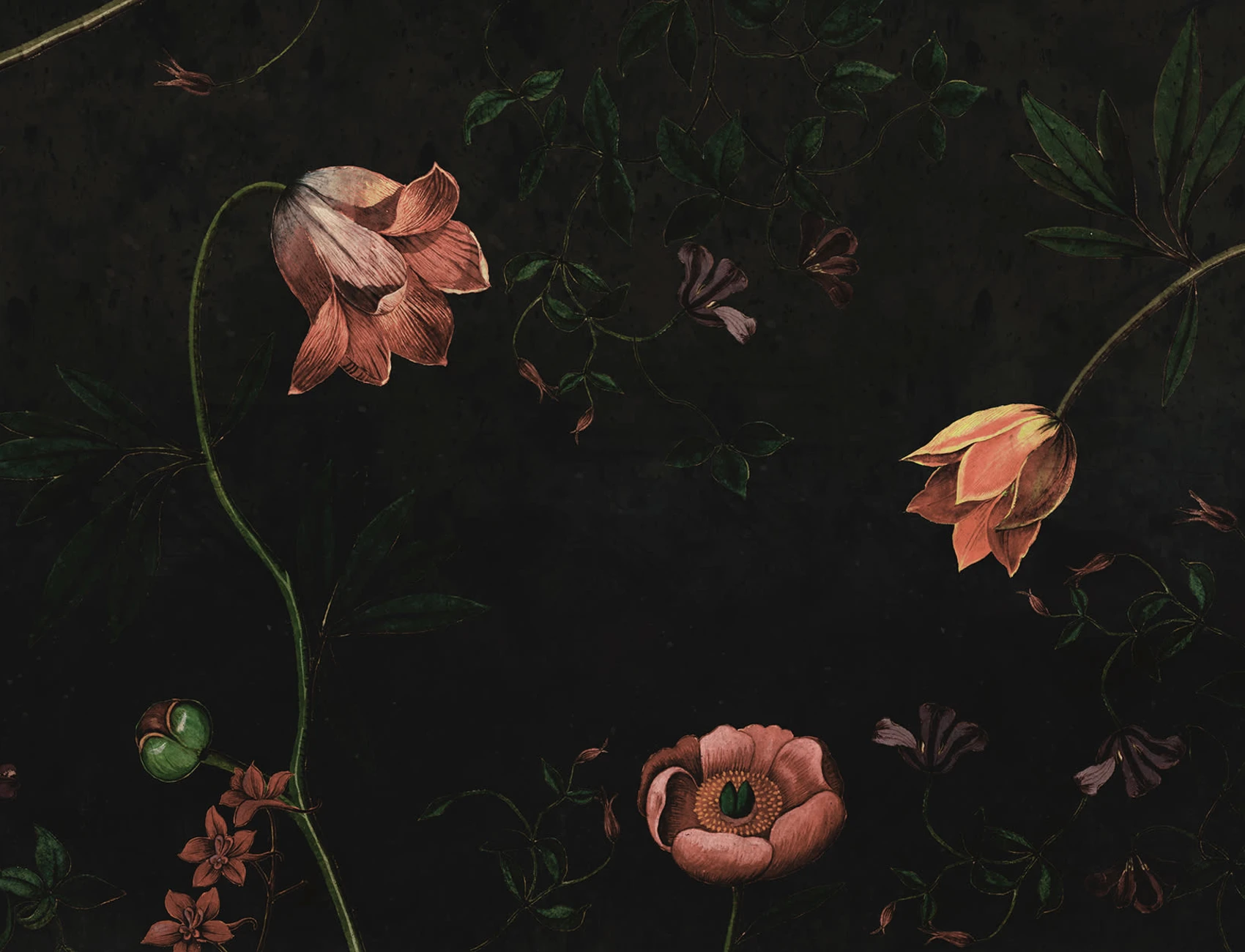 Nocturnal Floral Mystery