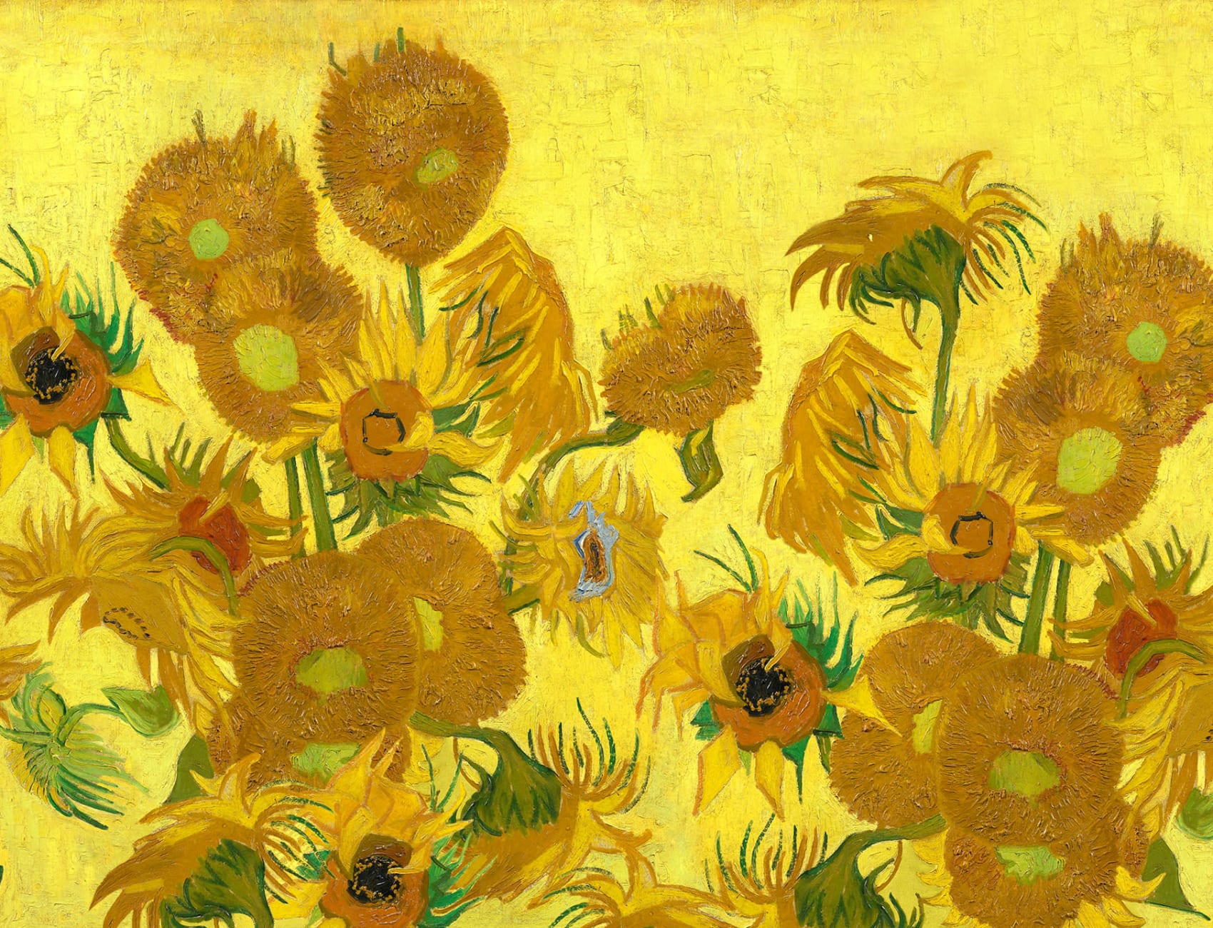Stately Flowers