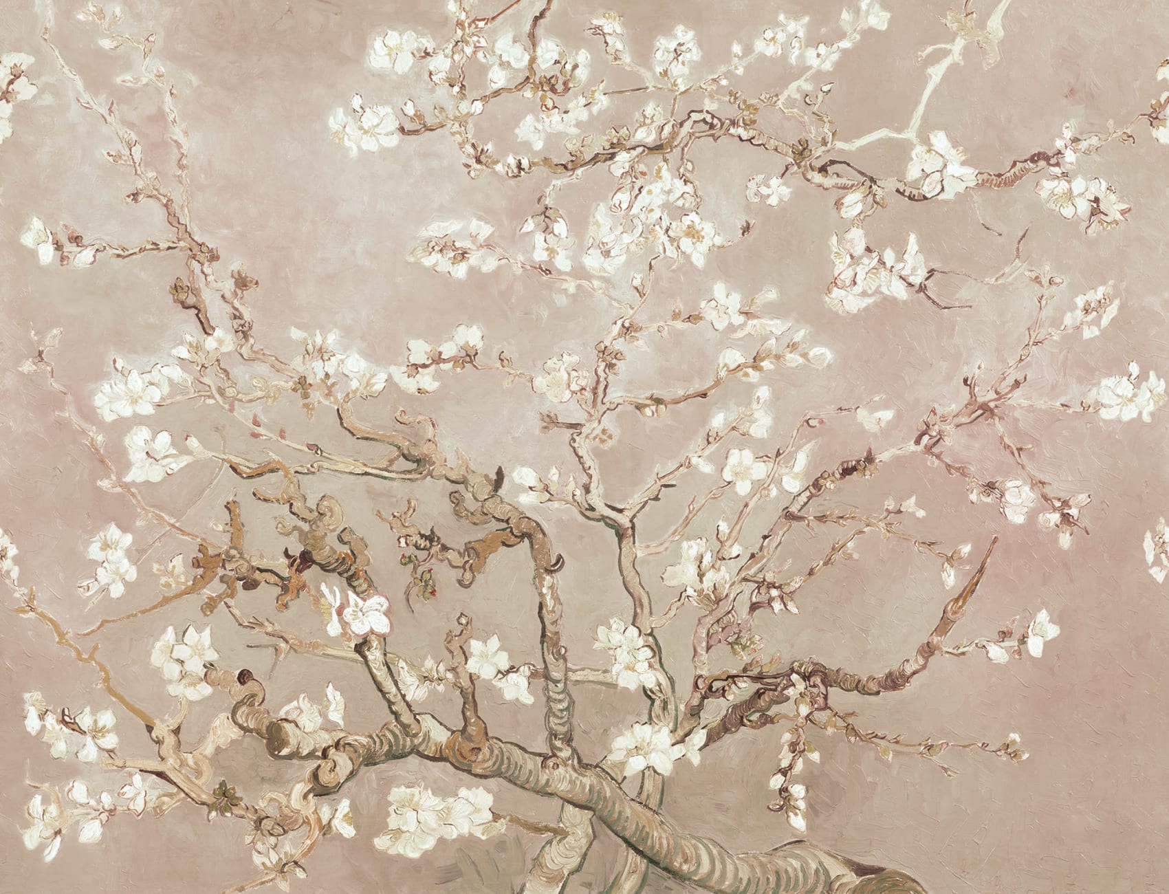Blossoming New Beginnings