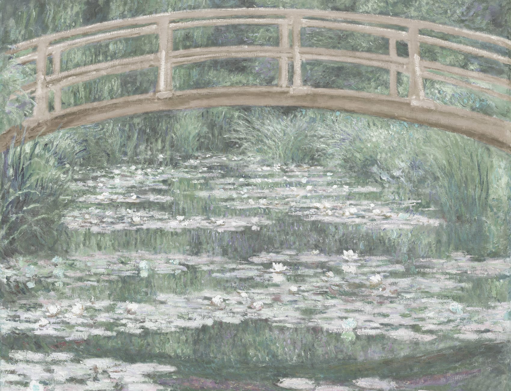 Soft Celebrated Artwork