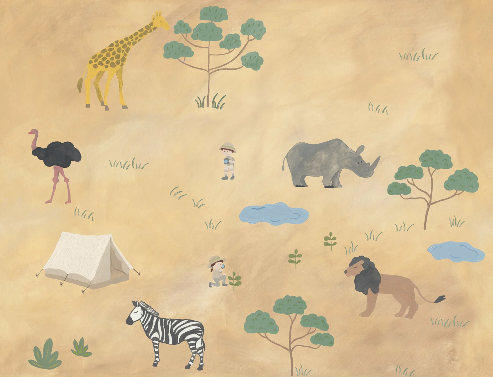 Safari de arena