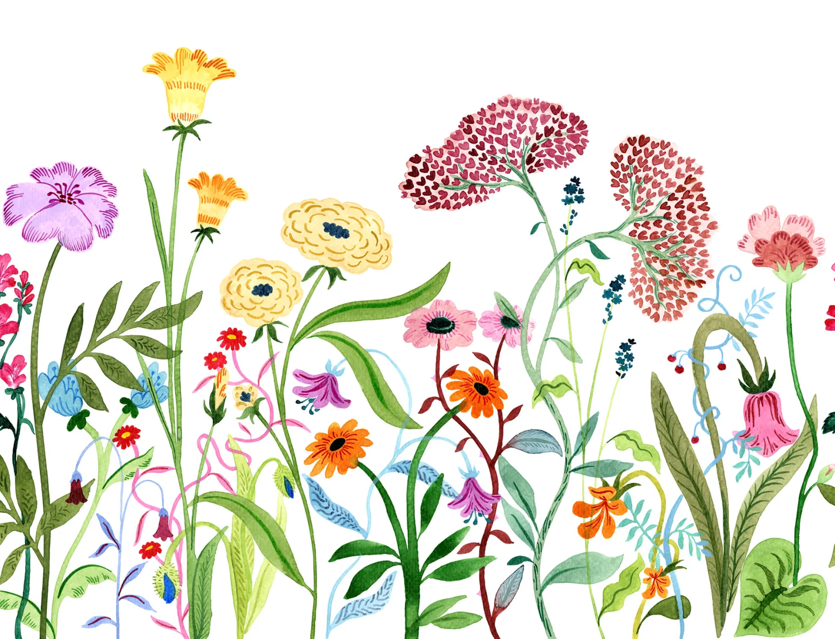 Floral Paradise