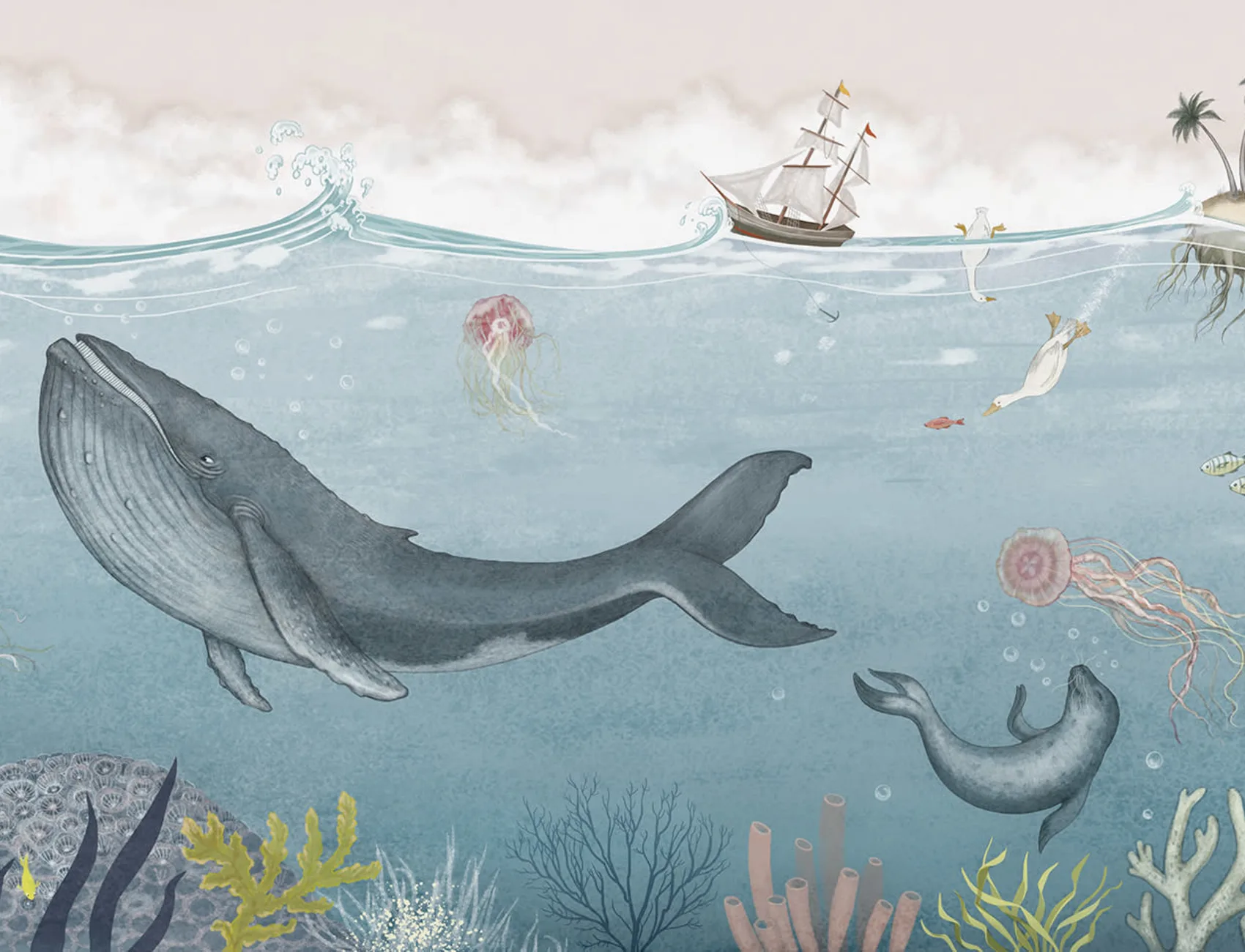 Ocean Adventure