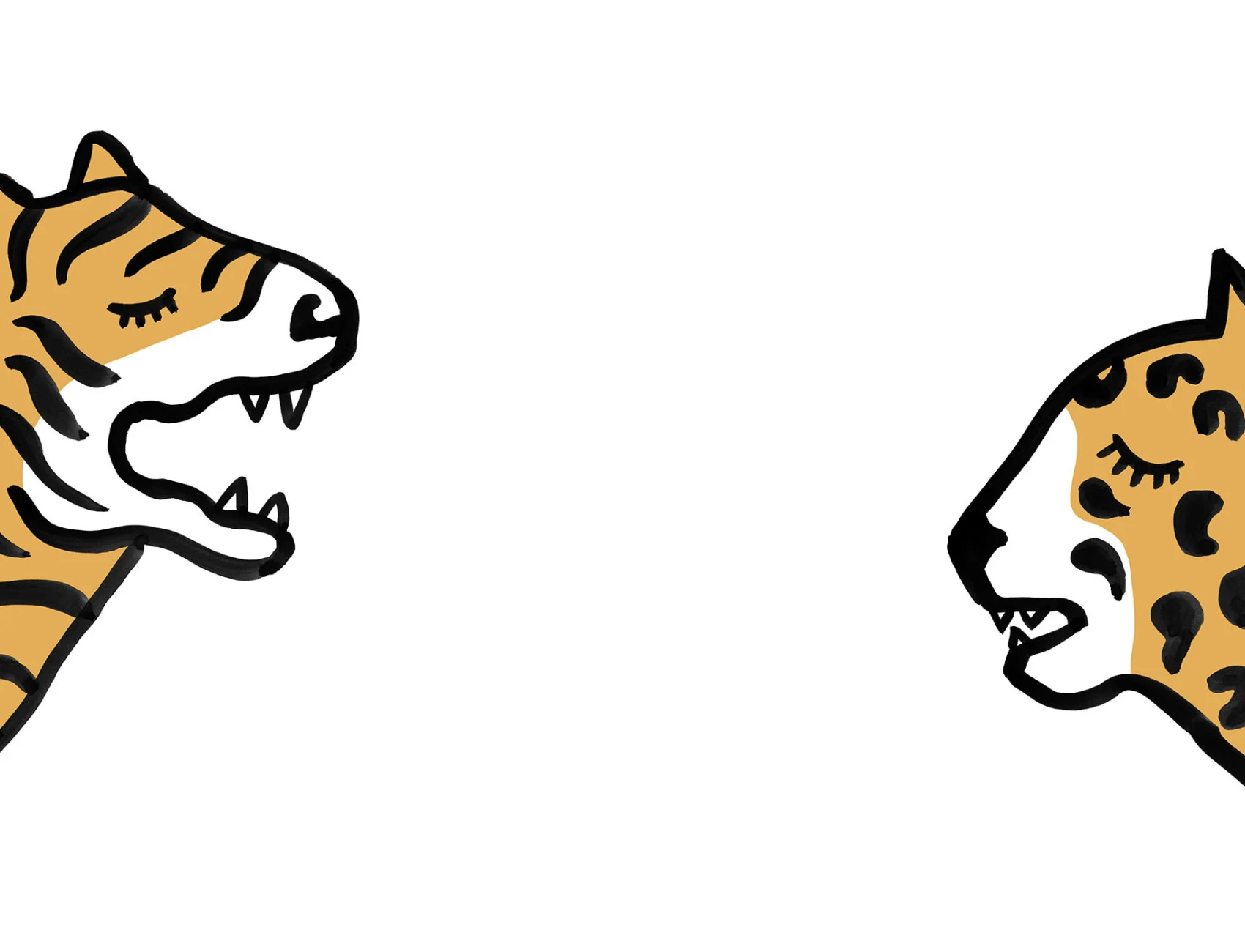 Graphic Cat Gossip