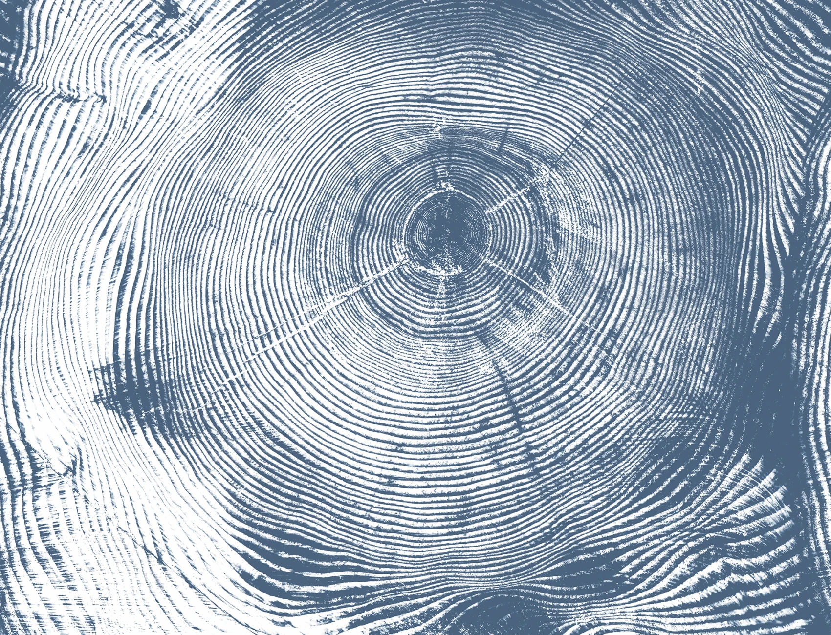 Natuurlijke abstractie