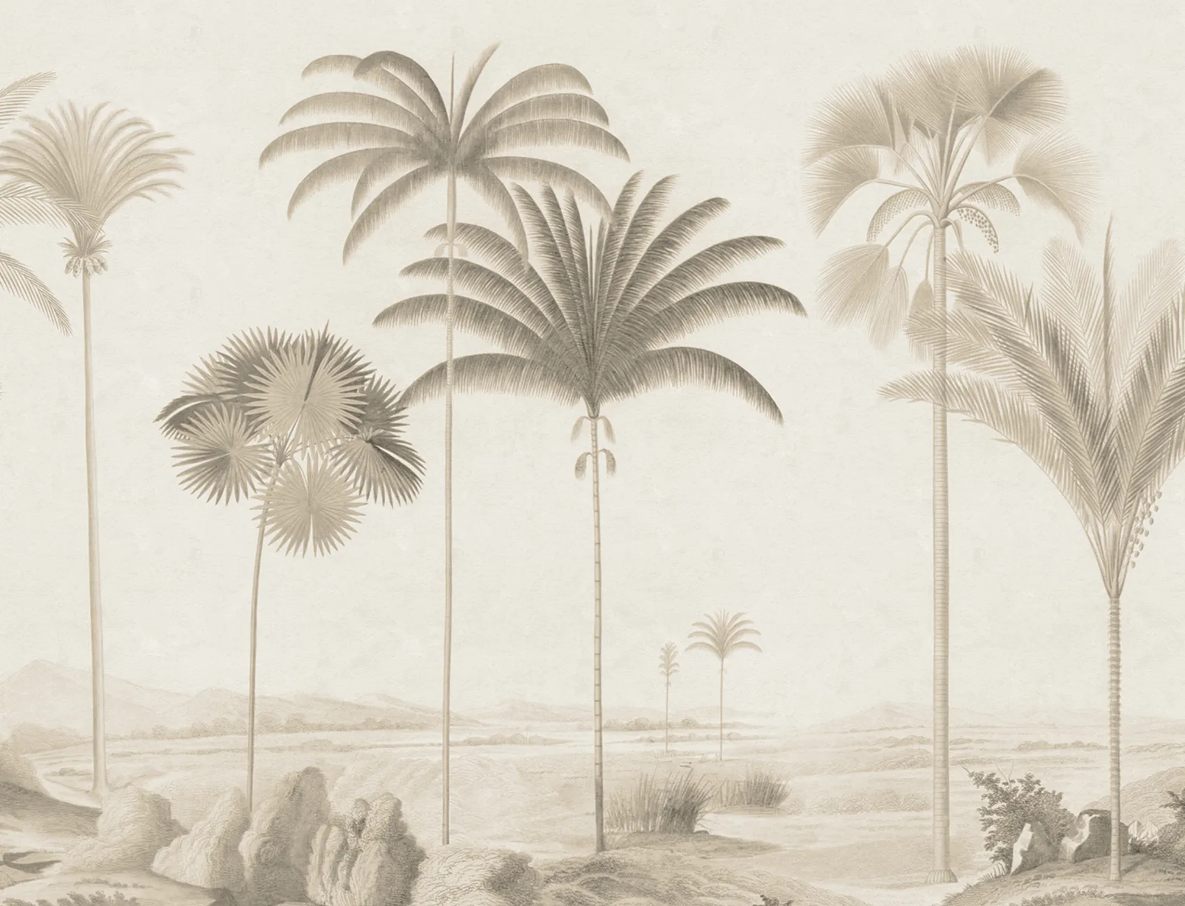 Timeless Palms