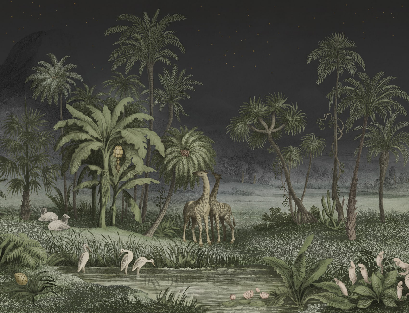 Night Safari