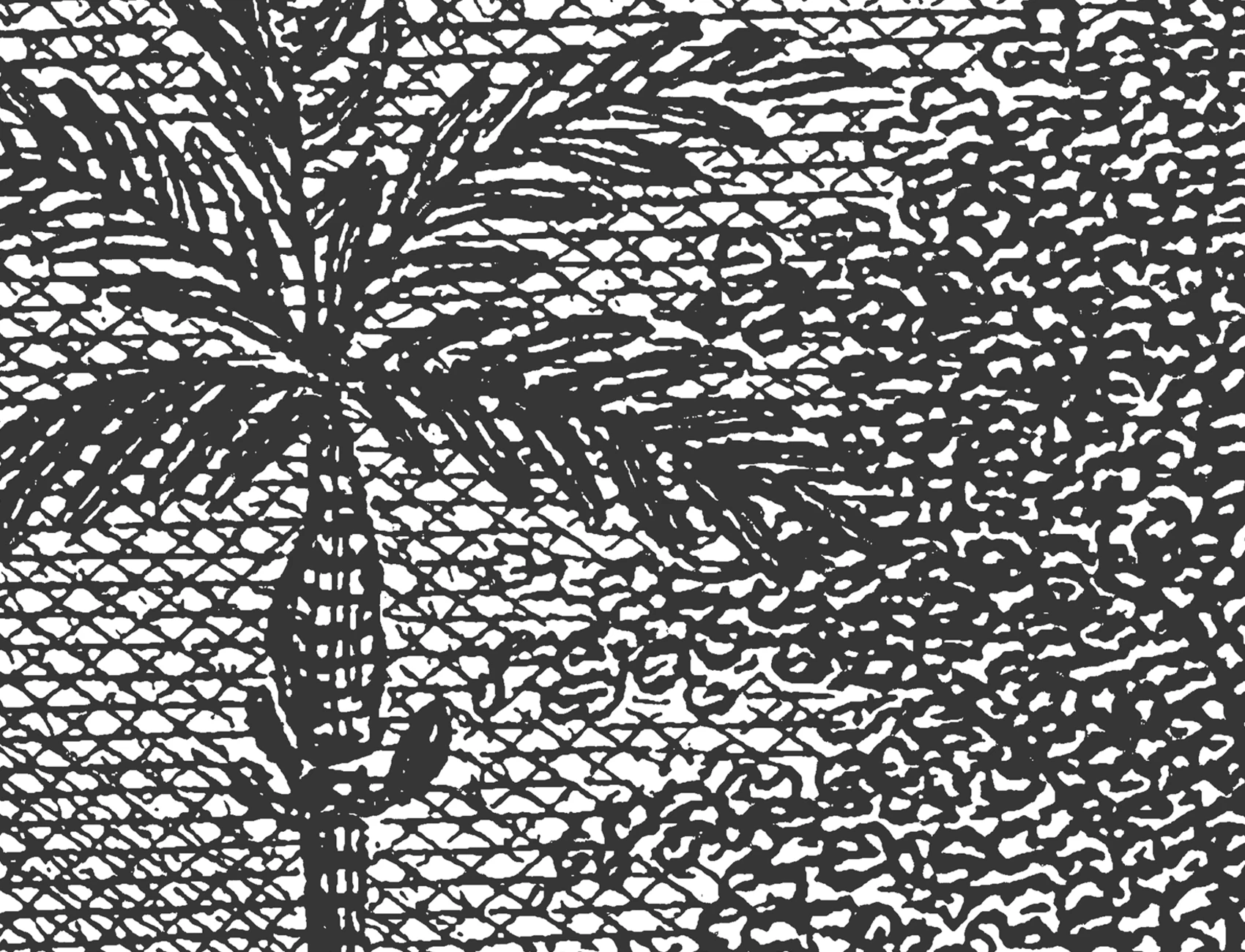 Tropical Escape