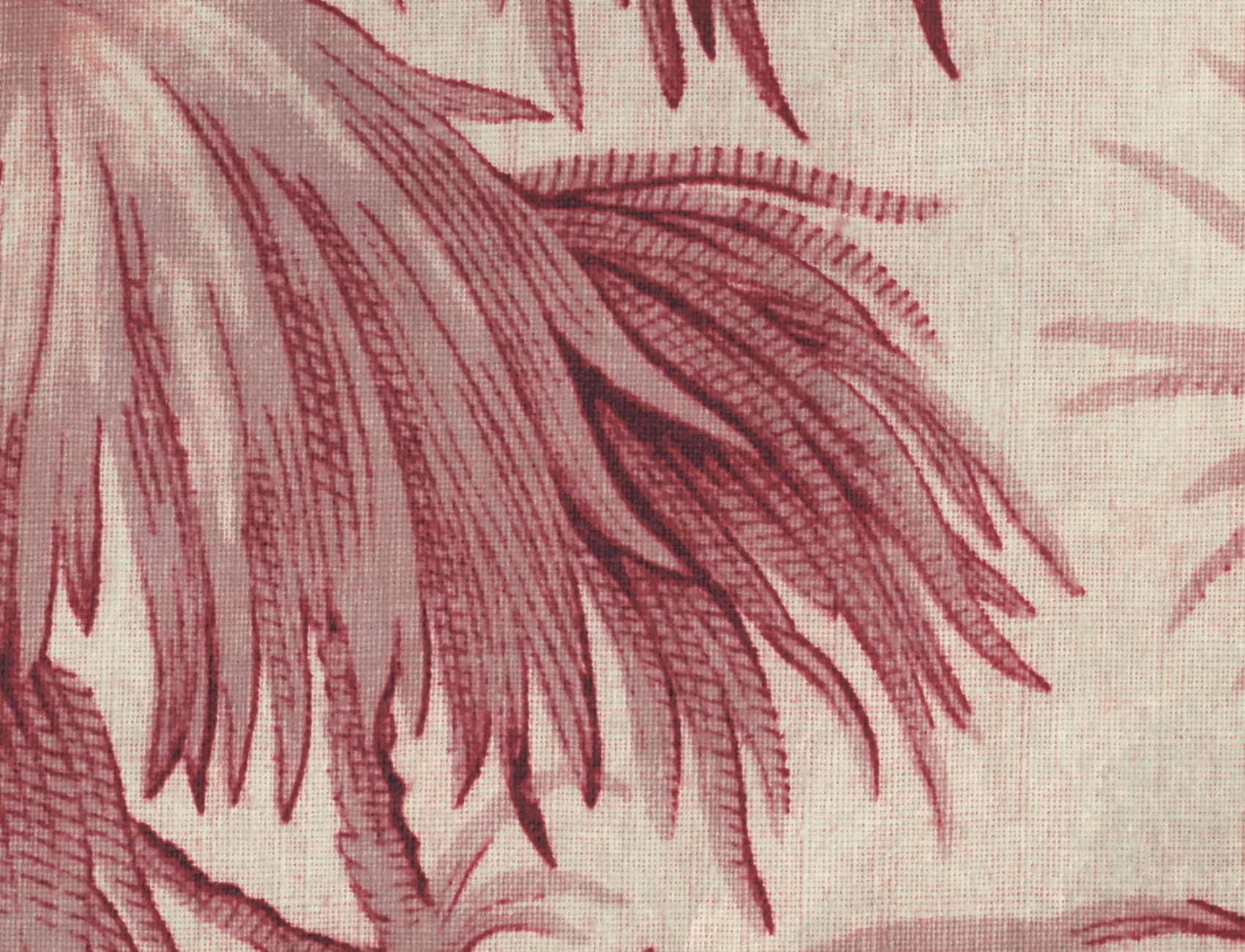 Aviary Elegance