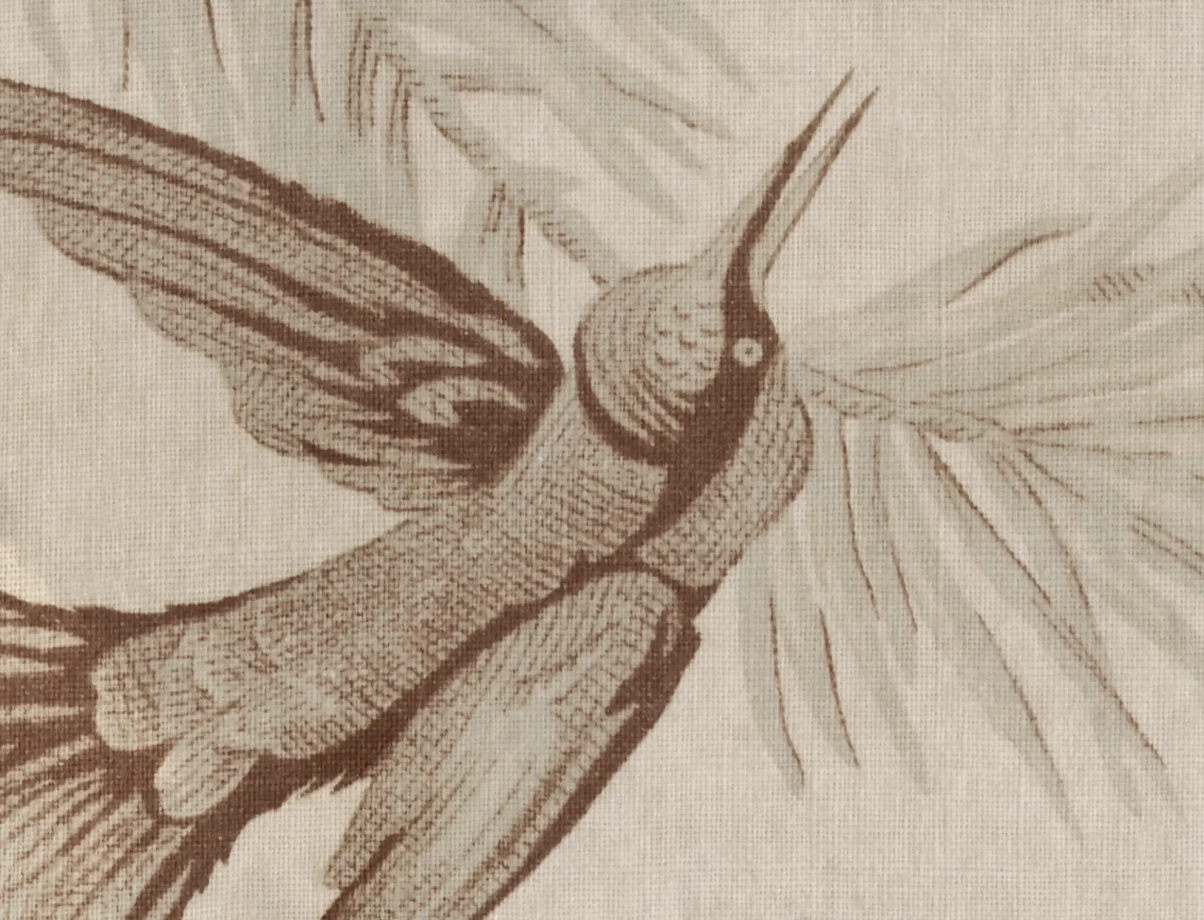 Birdsong Whisper