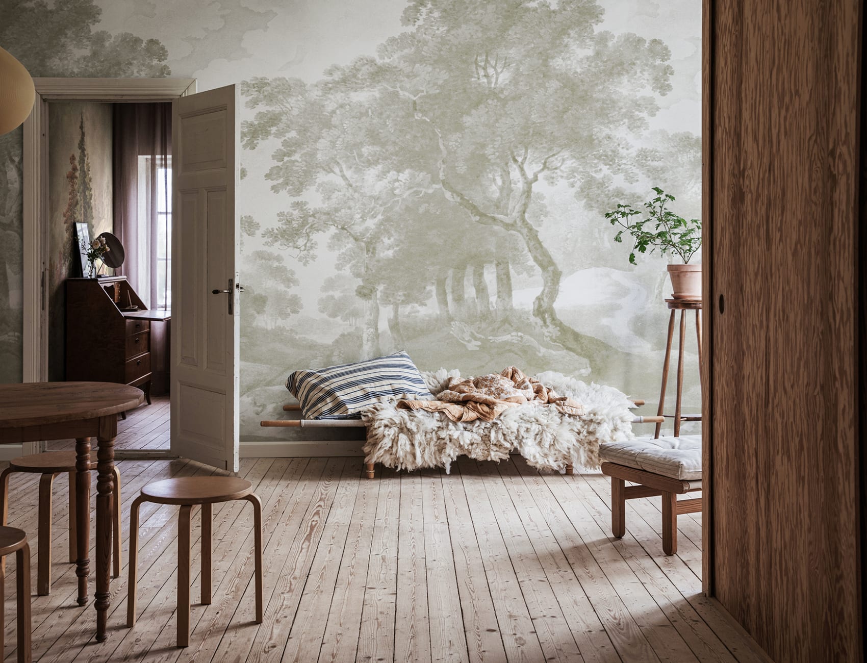 Charme intemporel des bois