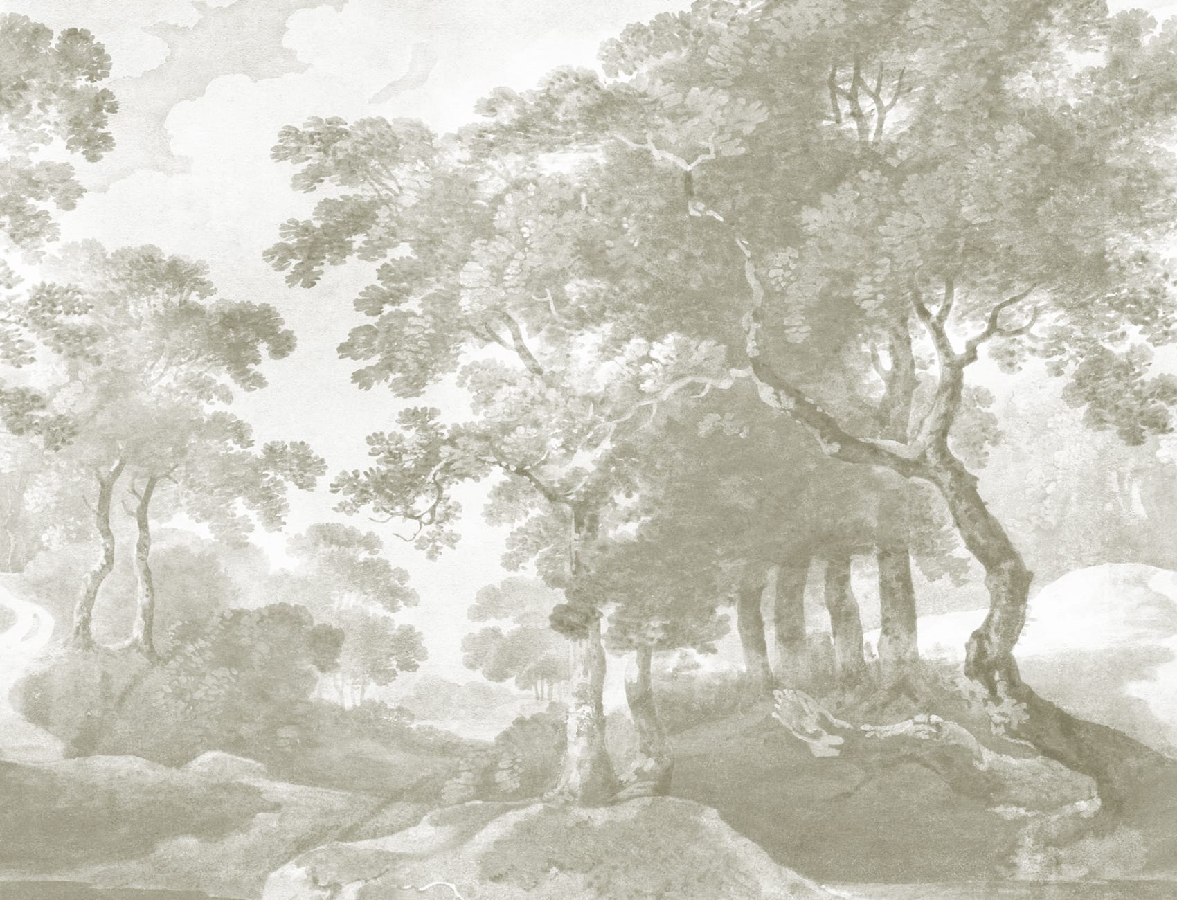 Charme intemporel des bois