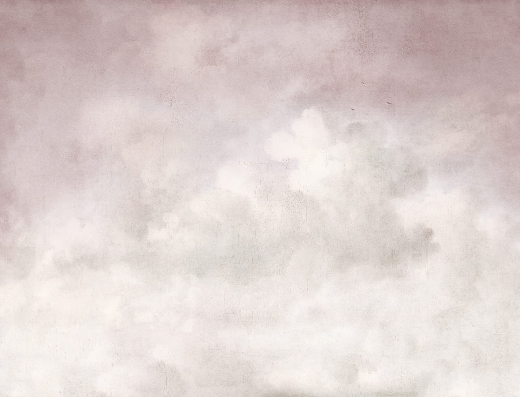 Dreamy Pink Skies