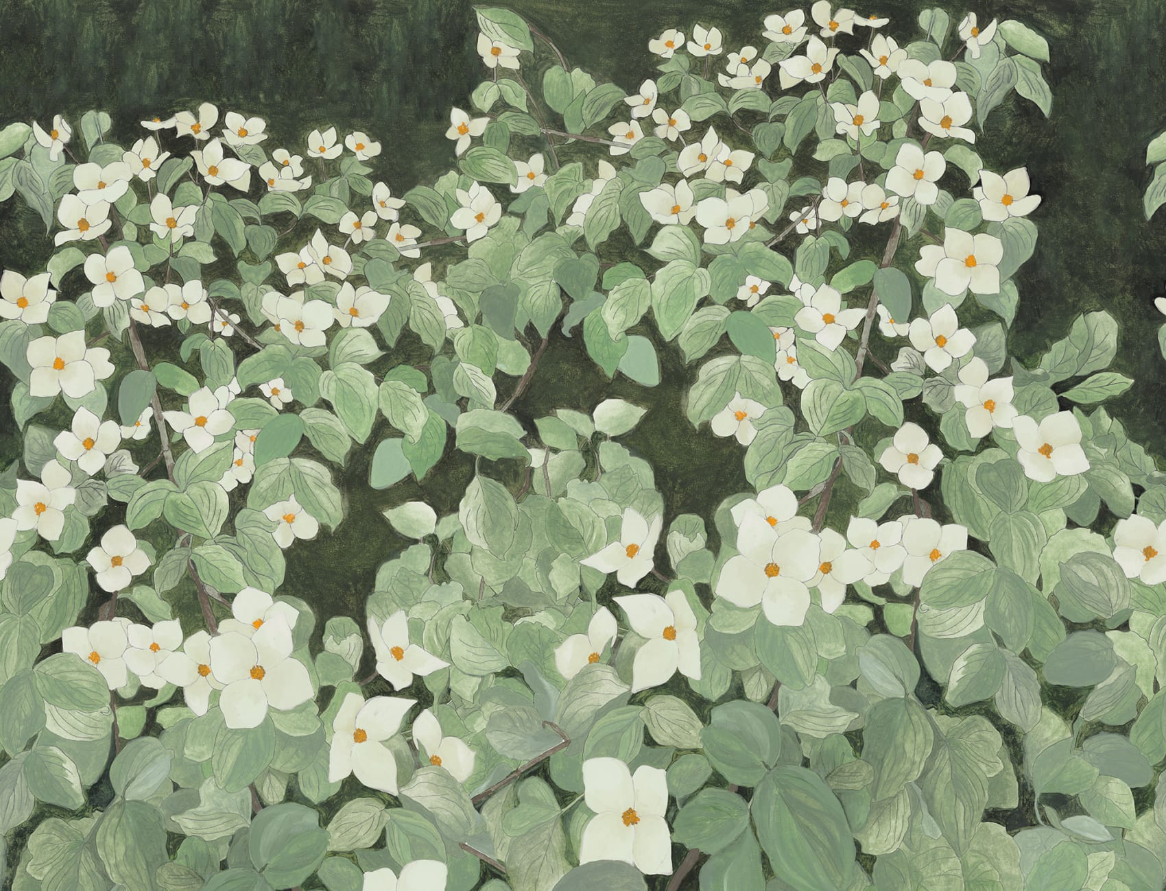 Nature's Canvas: White Parkflowers