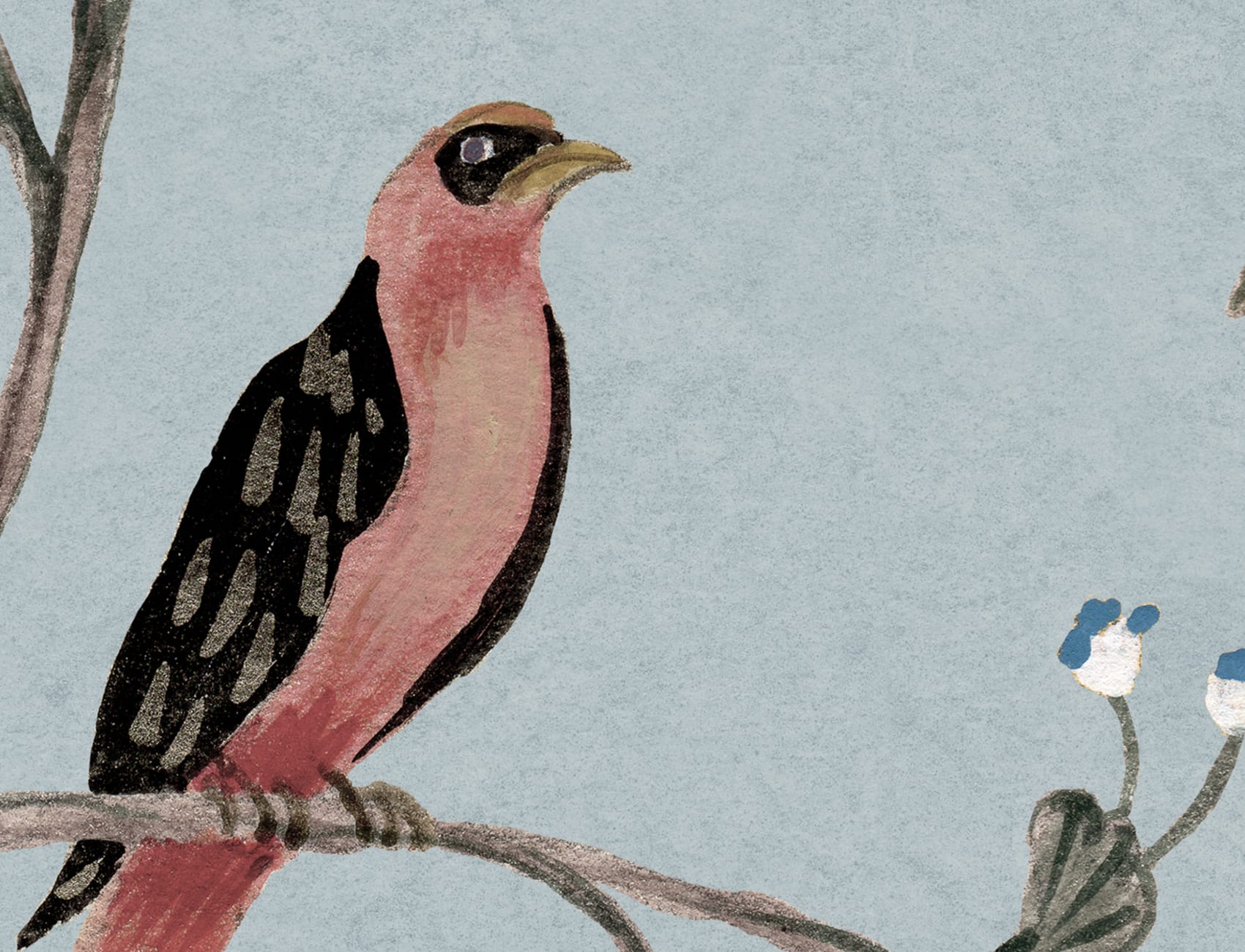 Die zarte Symphonie der Natur