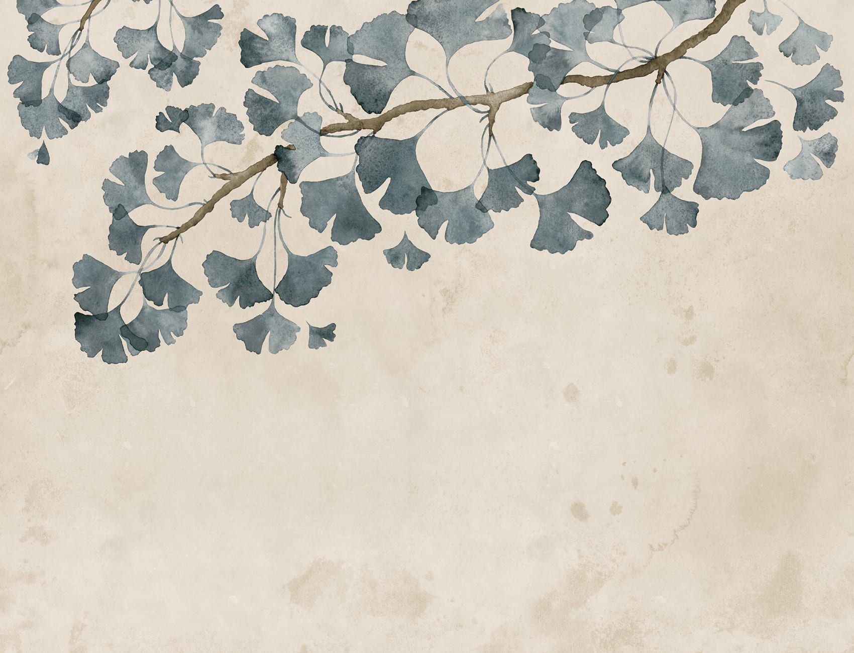 Ginkgo Grace