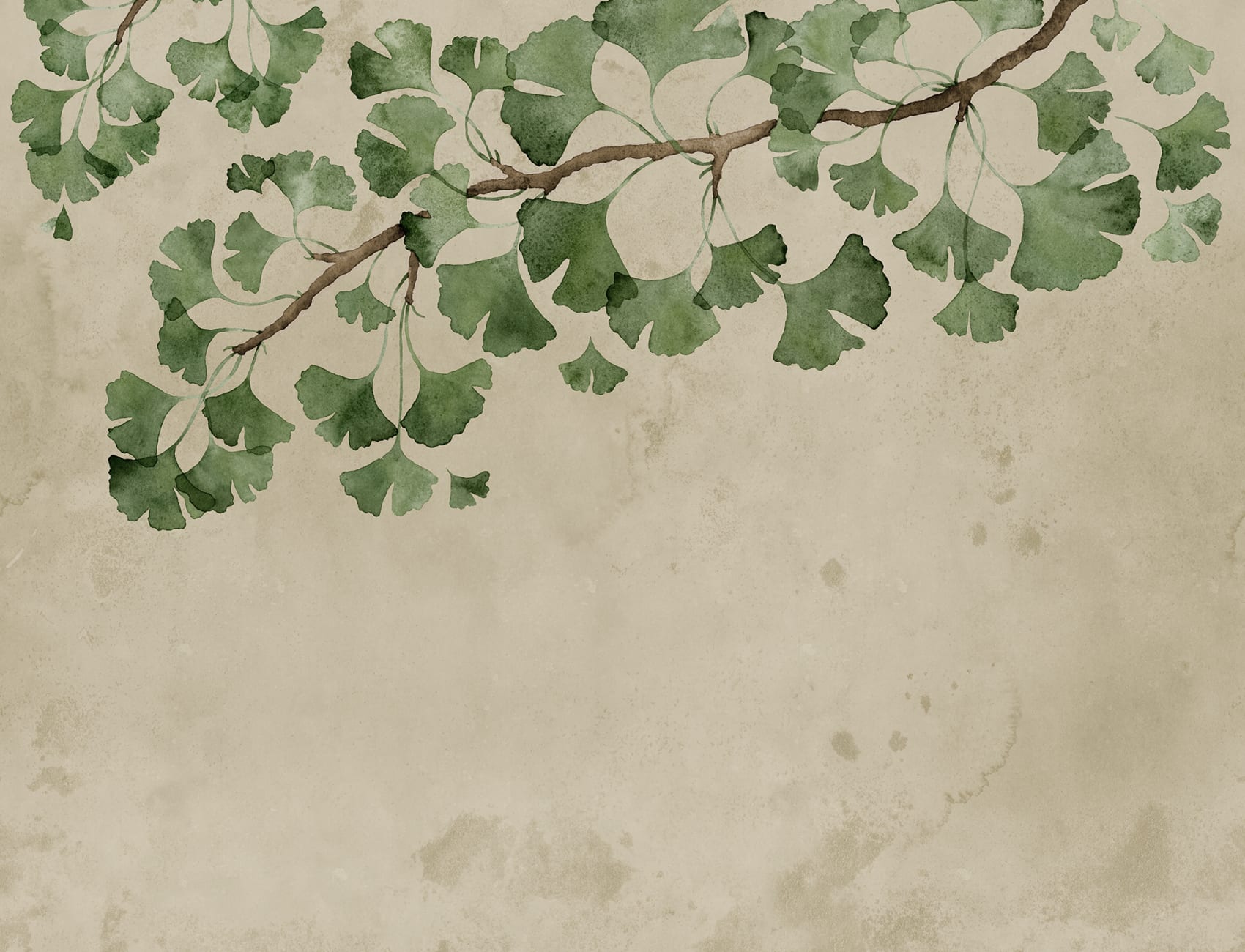 Gingko Grace