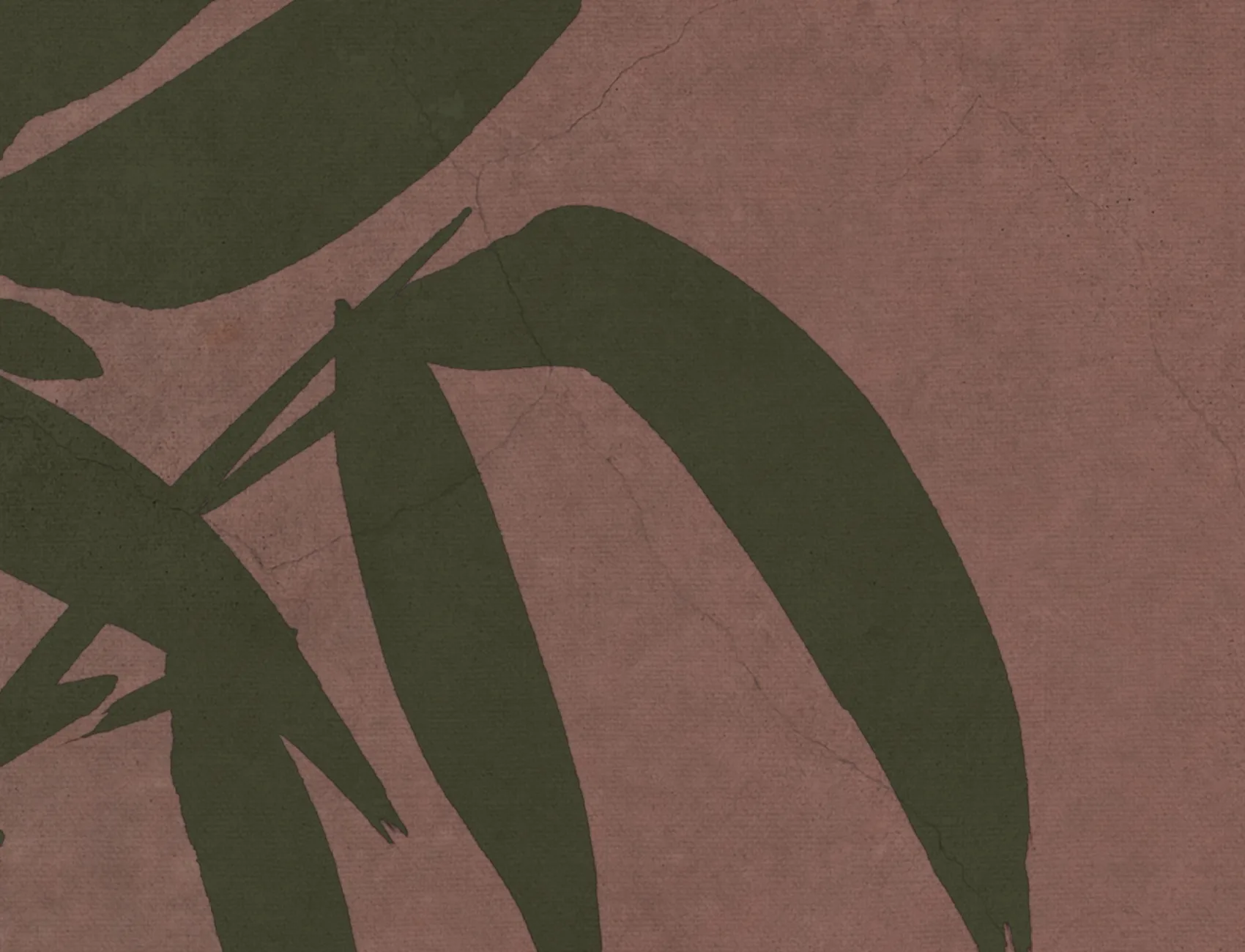 Bamboo Serenity