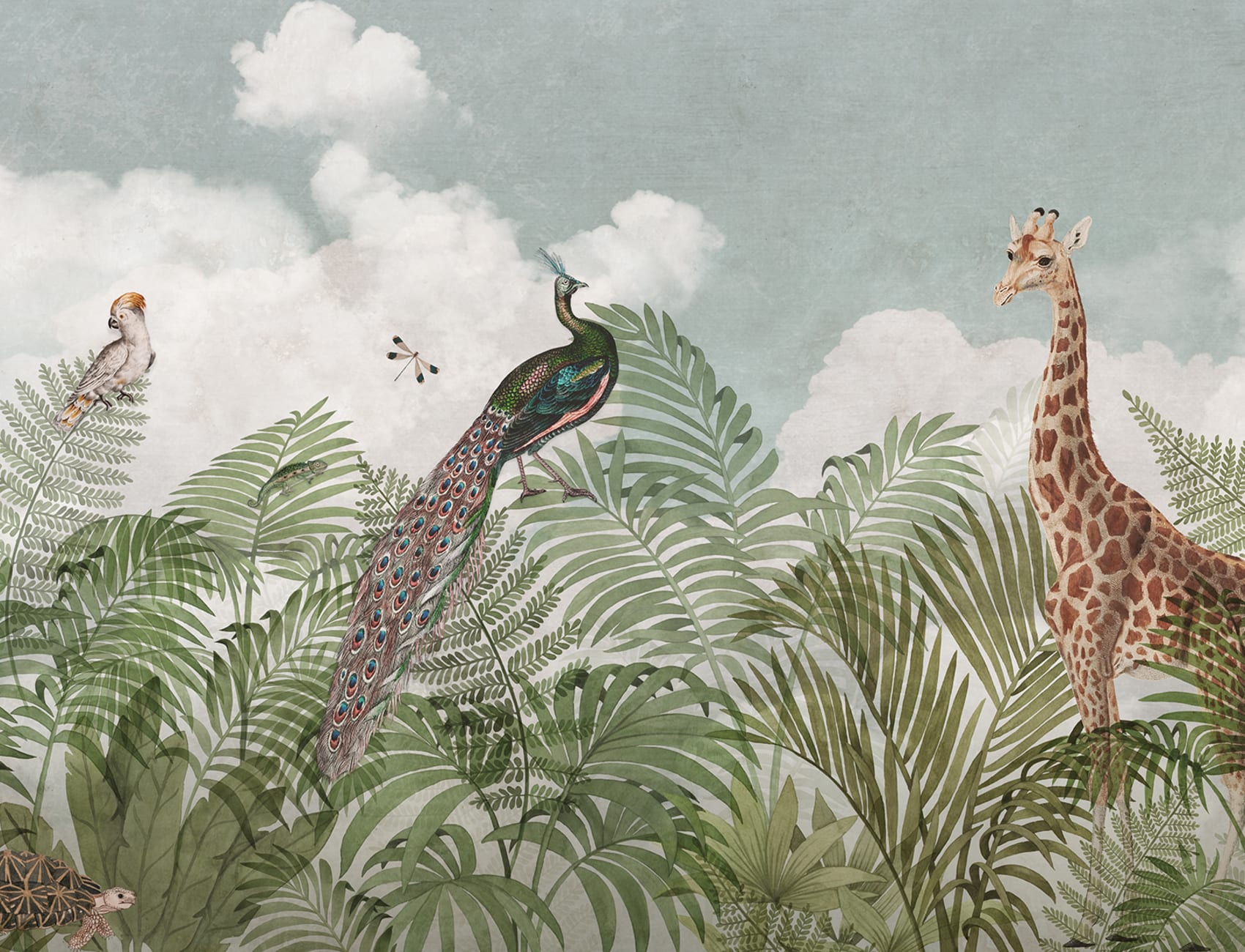 Wild Safari
