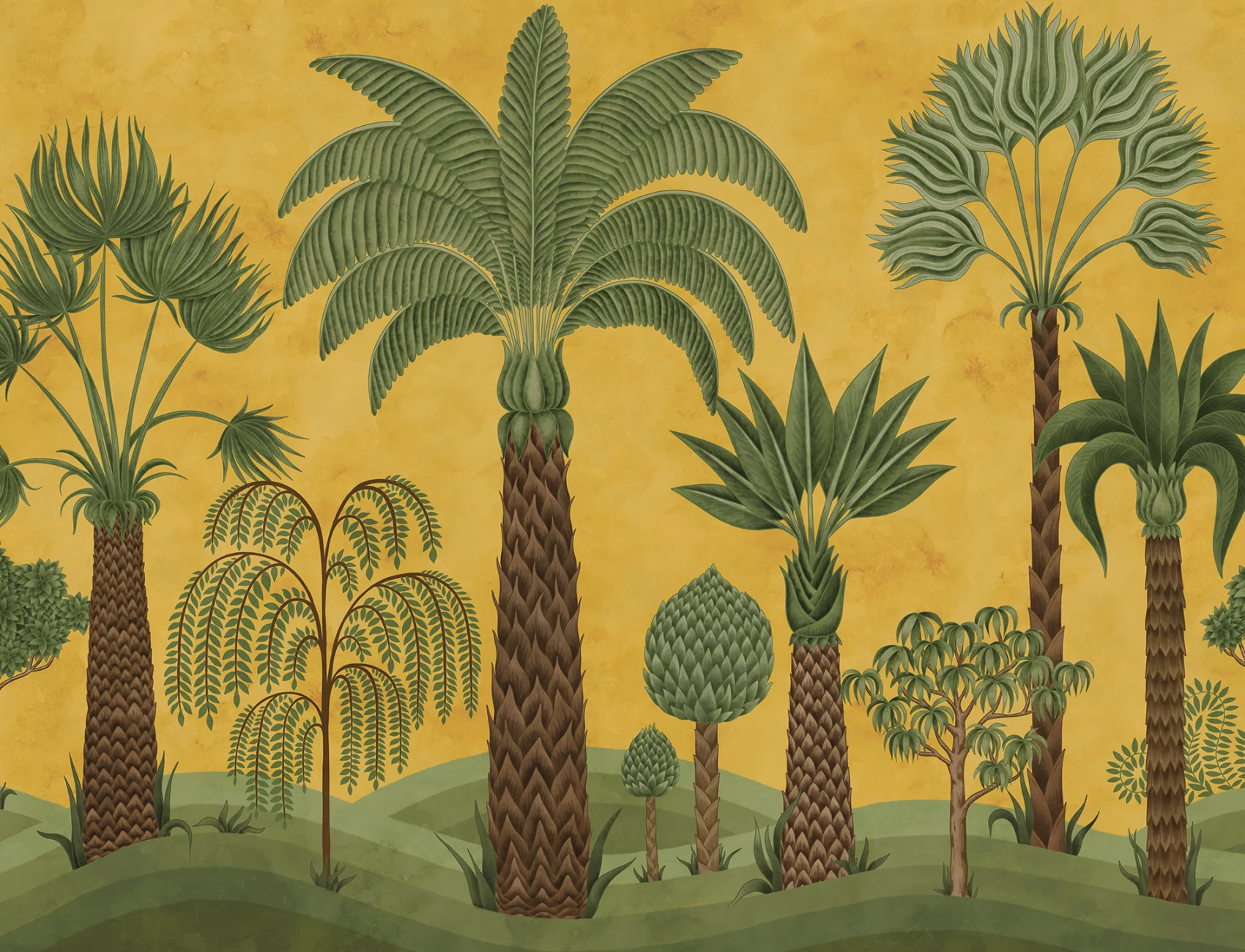 Tettoia tropicale