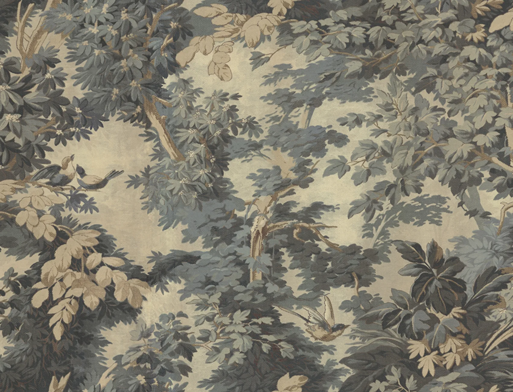 Abbracciare la natura con gli uccelli del bosco