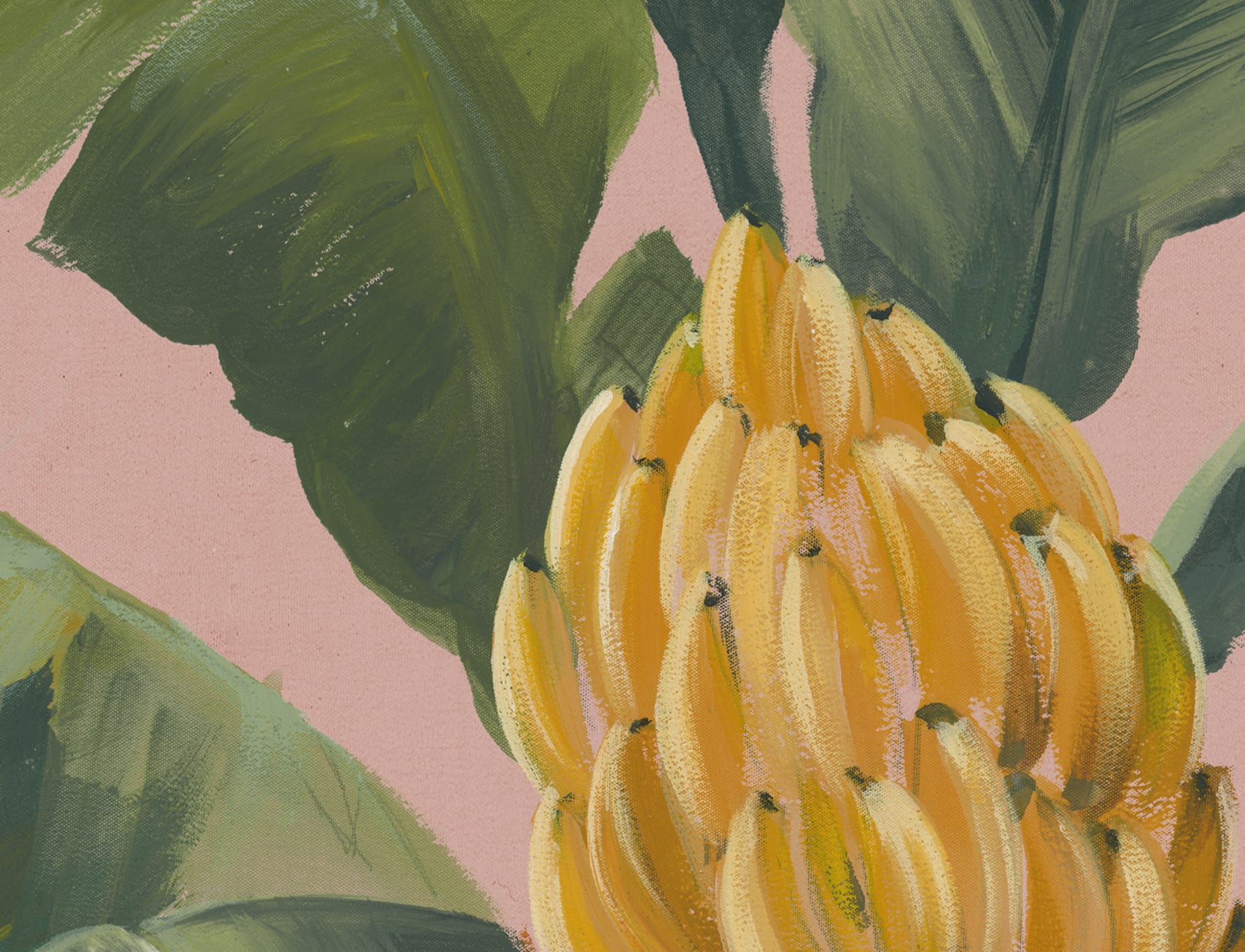 Abraza las vibraciones tropicales con hojas de plátano rosas