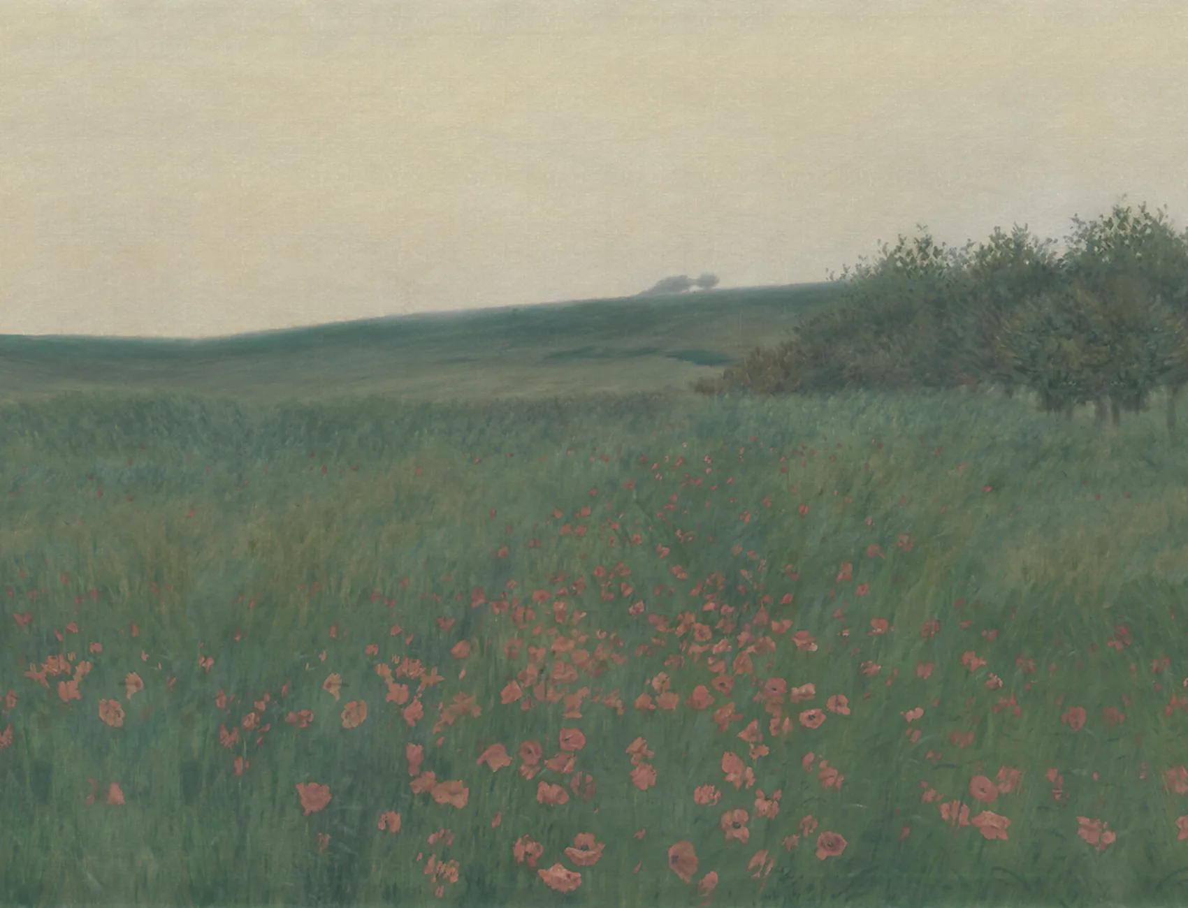 Whispering Poppies