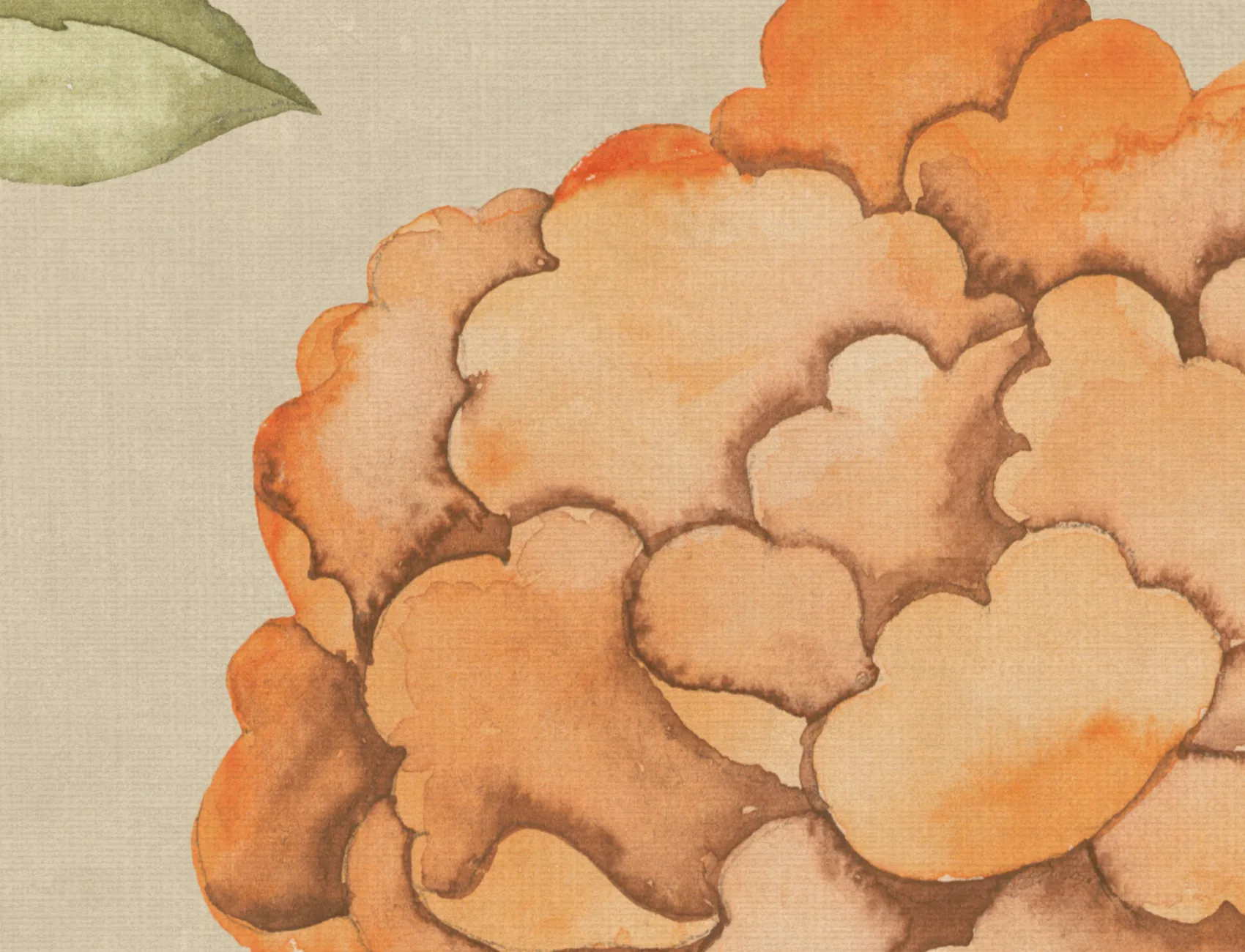 Chinoiserie Burst